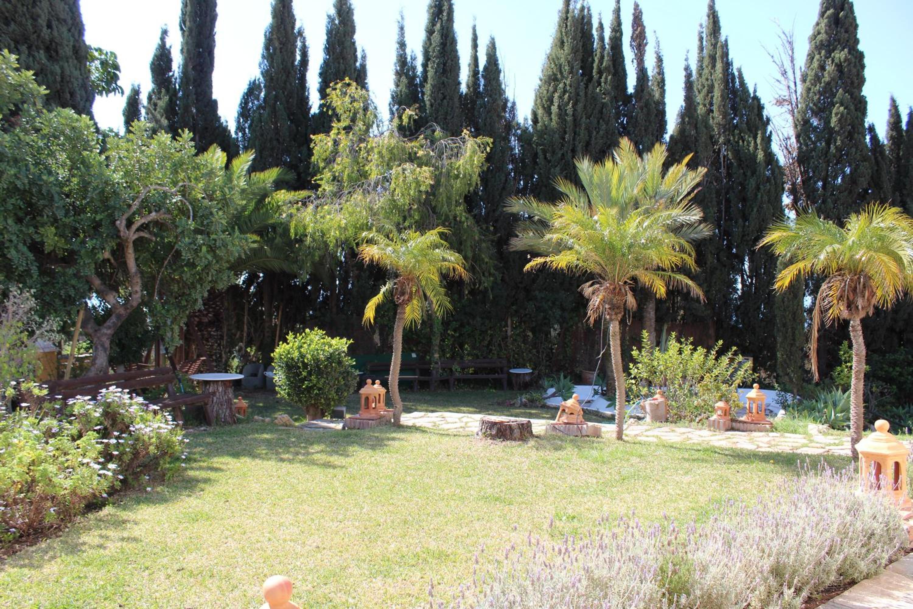Photo 47
