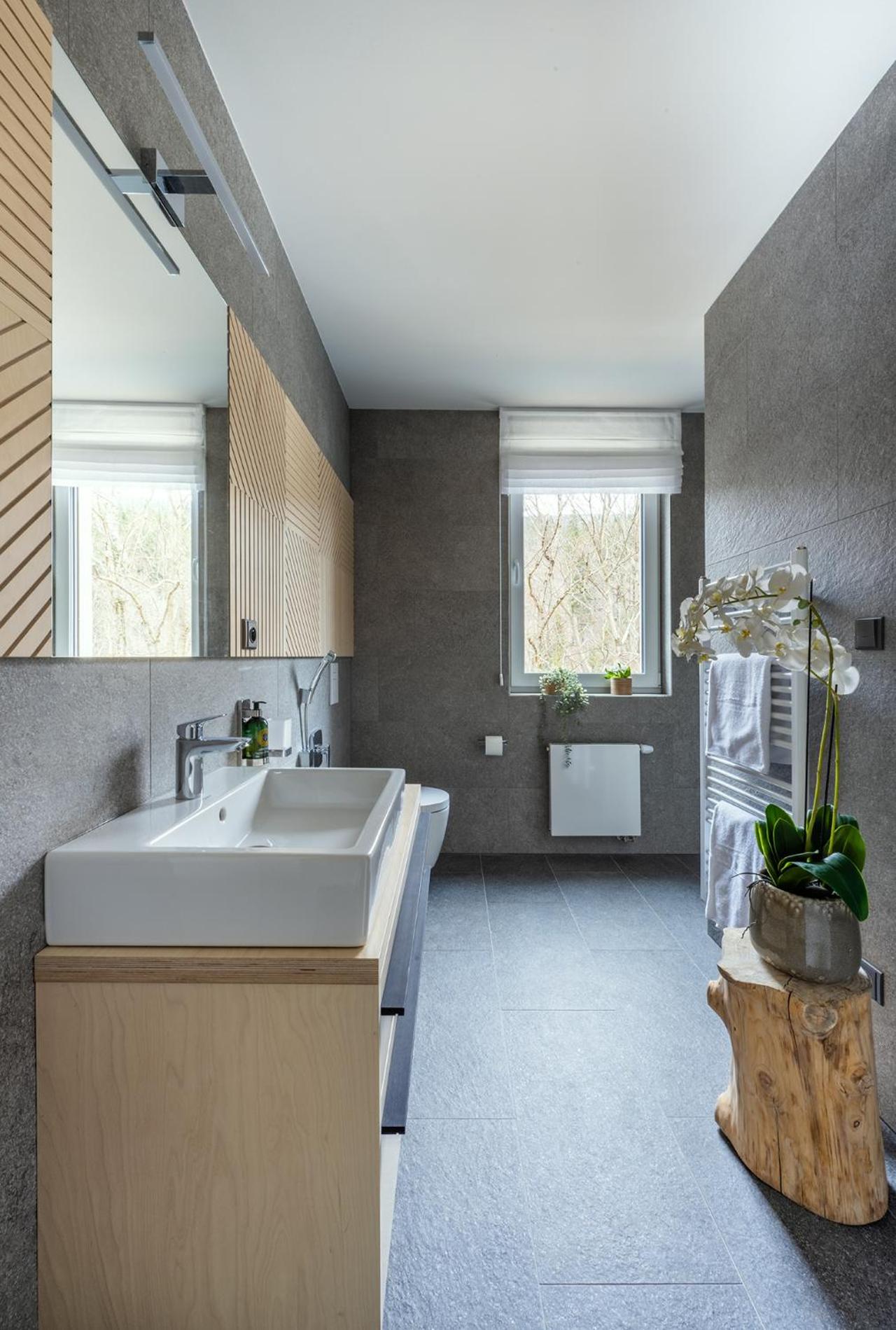 Apartmány u Lesa