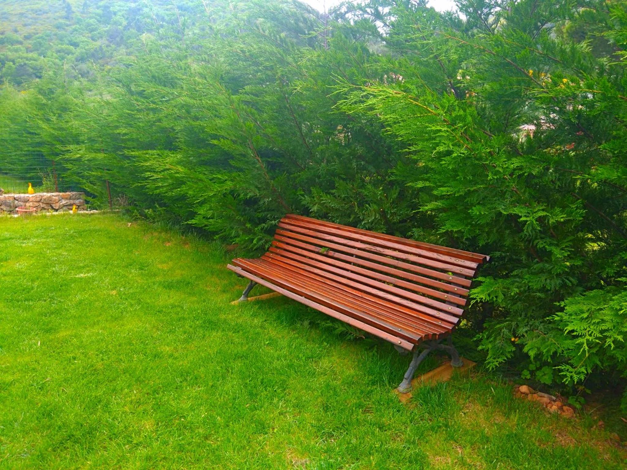 Photo 46