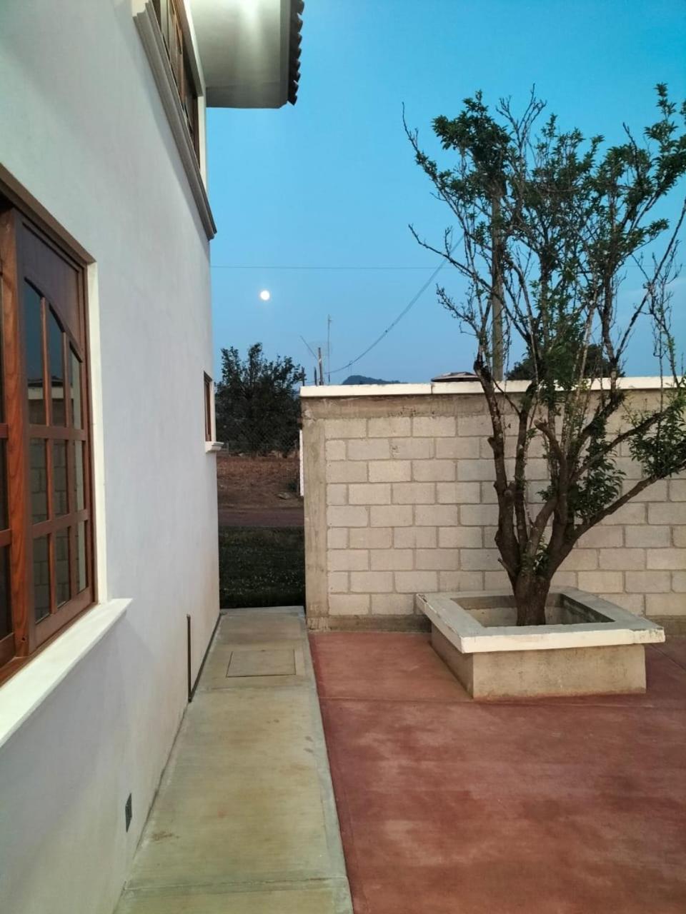 Photo 21