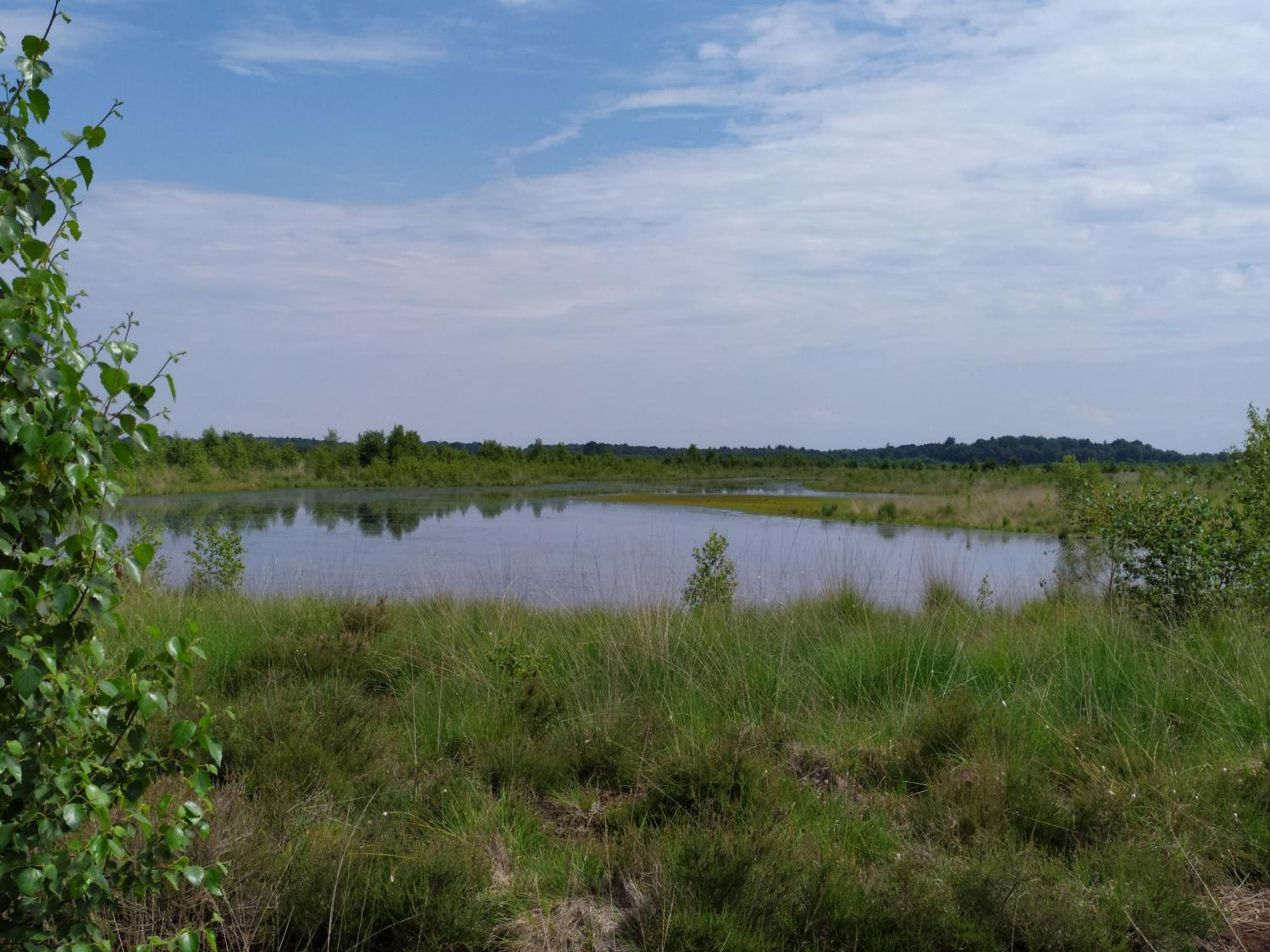 Photo 44