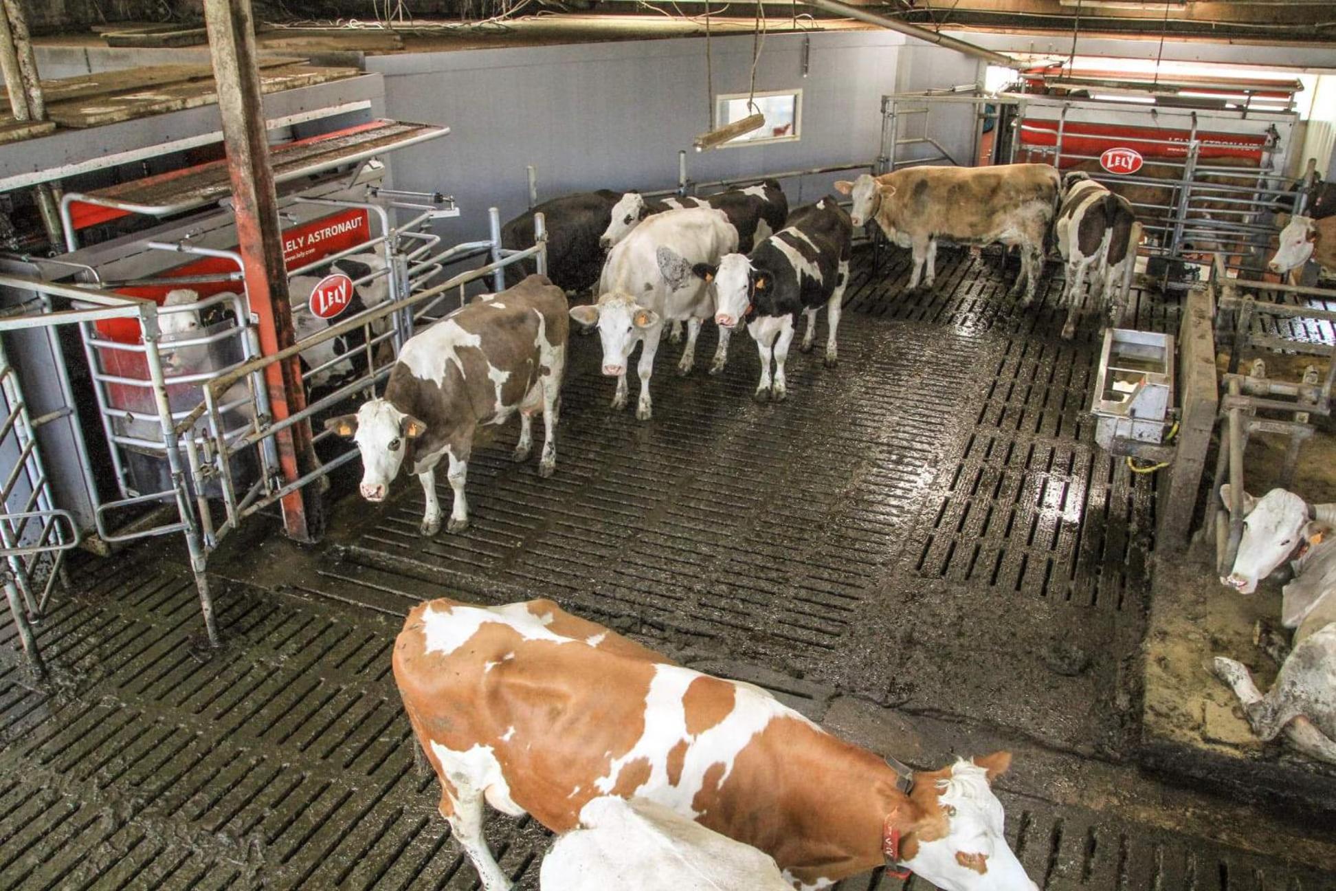 Gite à la Ferme