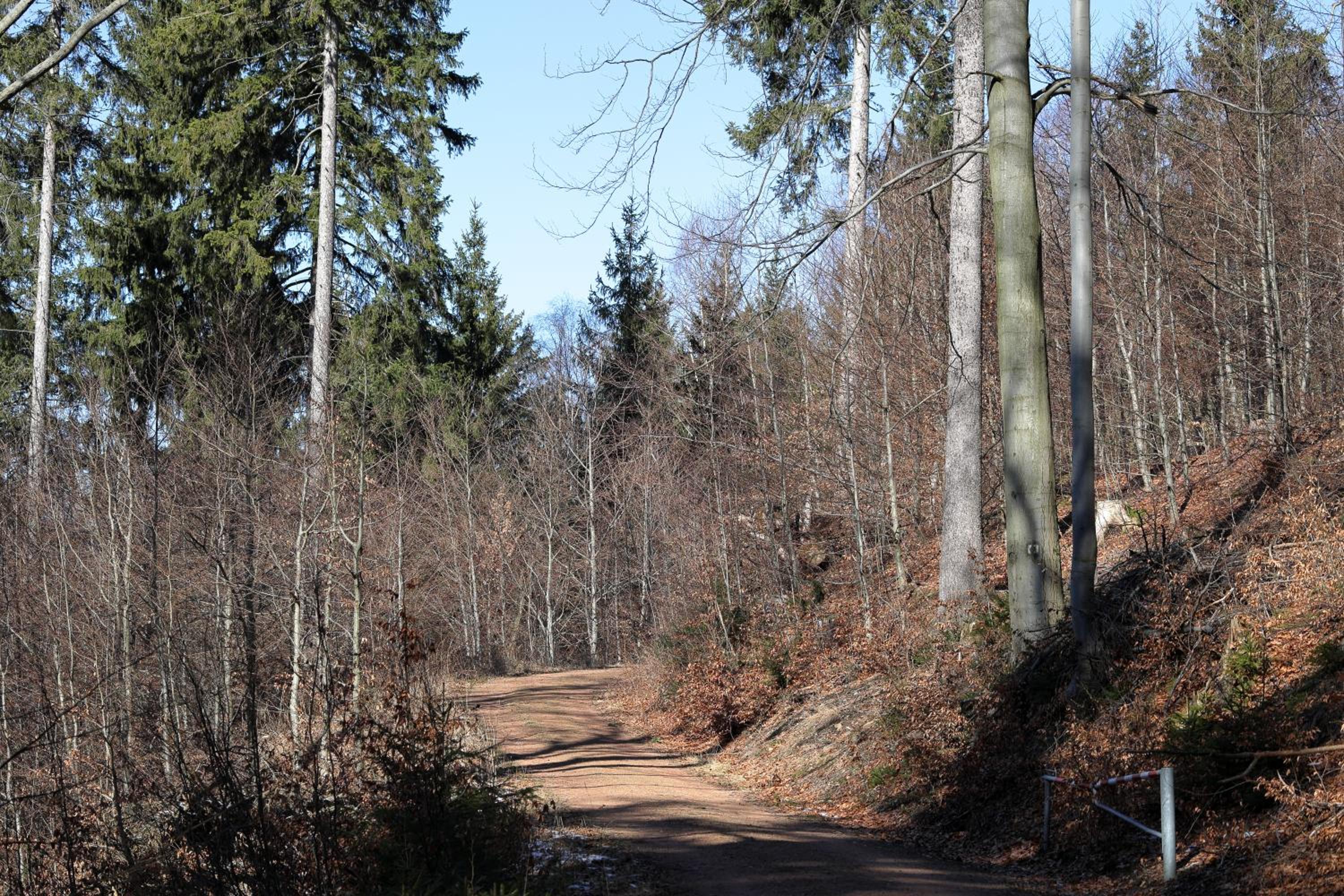 Photo 41