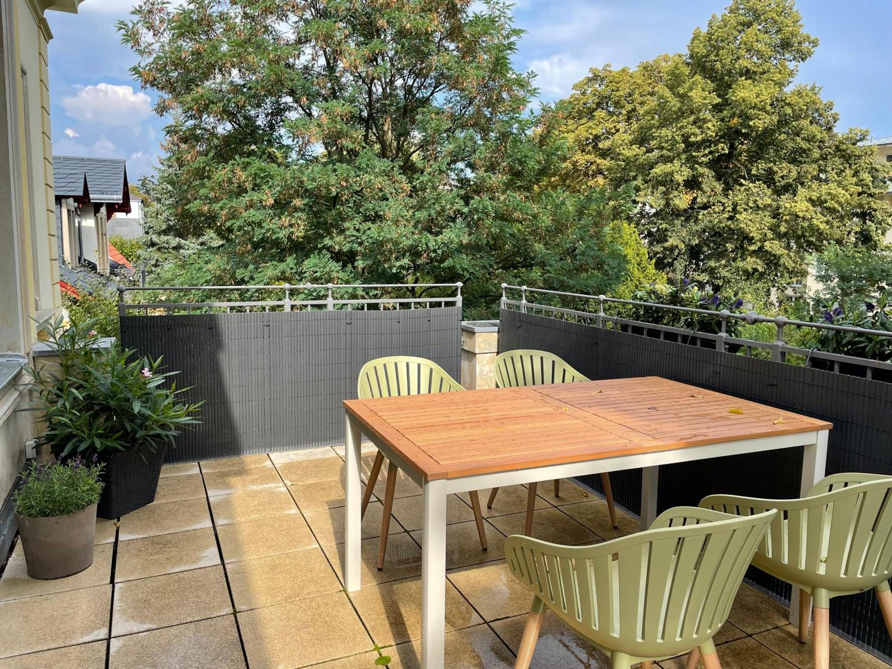 Helle Terrassenwohnung in Traumlage von Dresden view 2