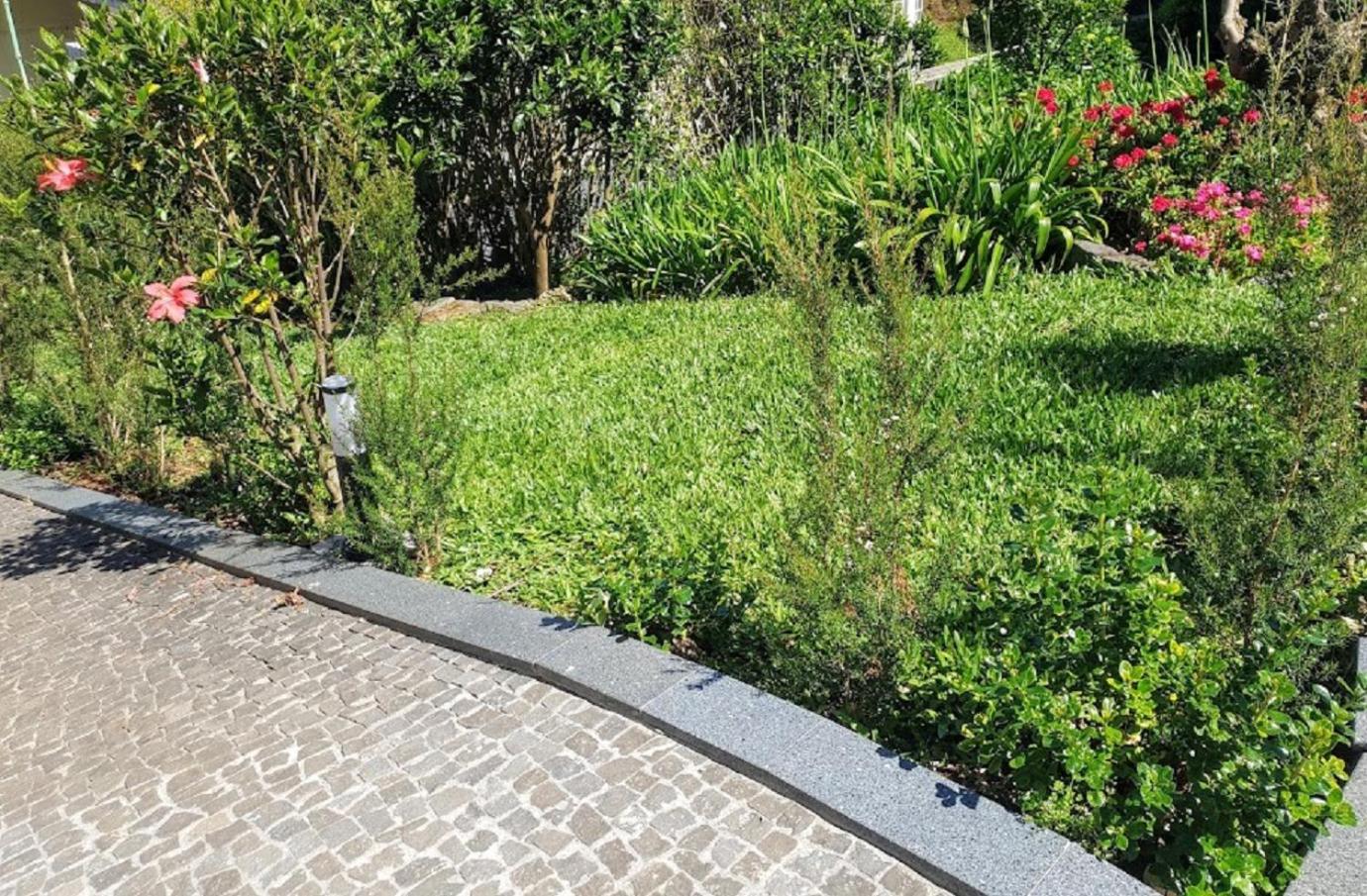 Photo 36
