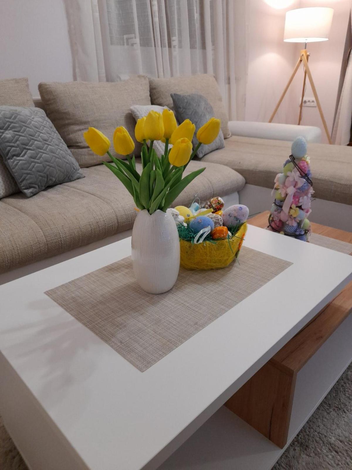 Apartman Emma Vrnjačka Banja view 2