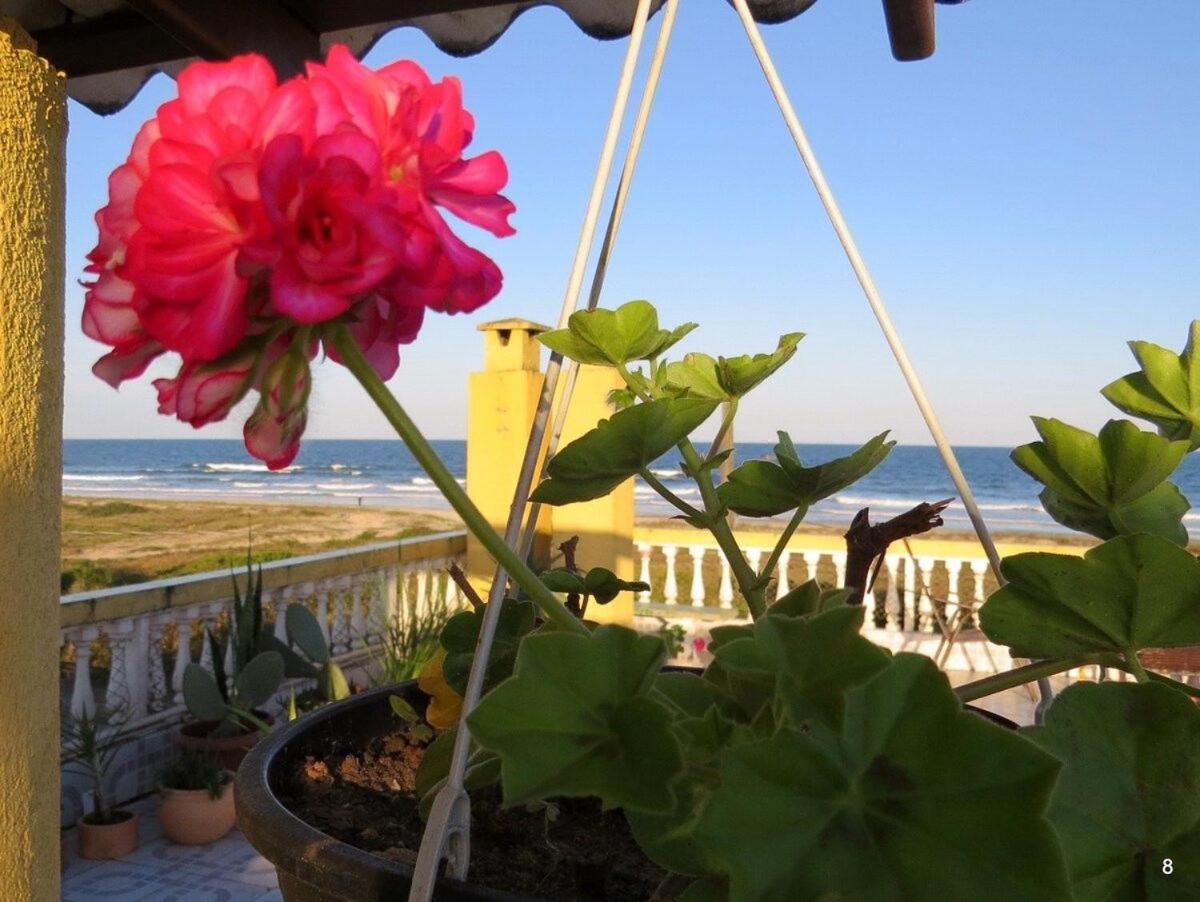 Casa com Vista Panorâmica da Praia de Pontal do Paraná!