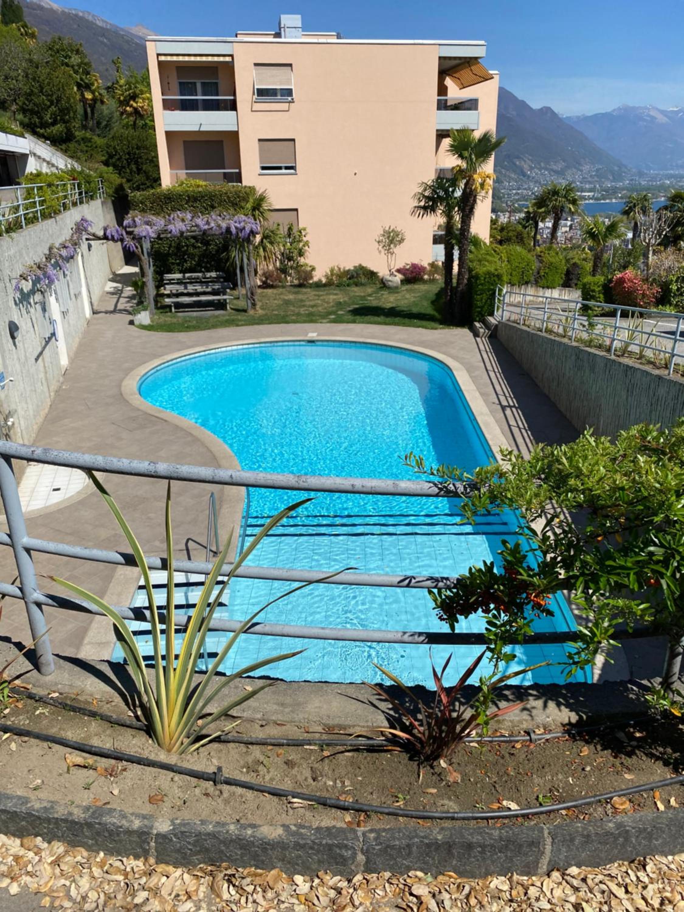 Photo 10