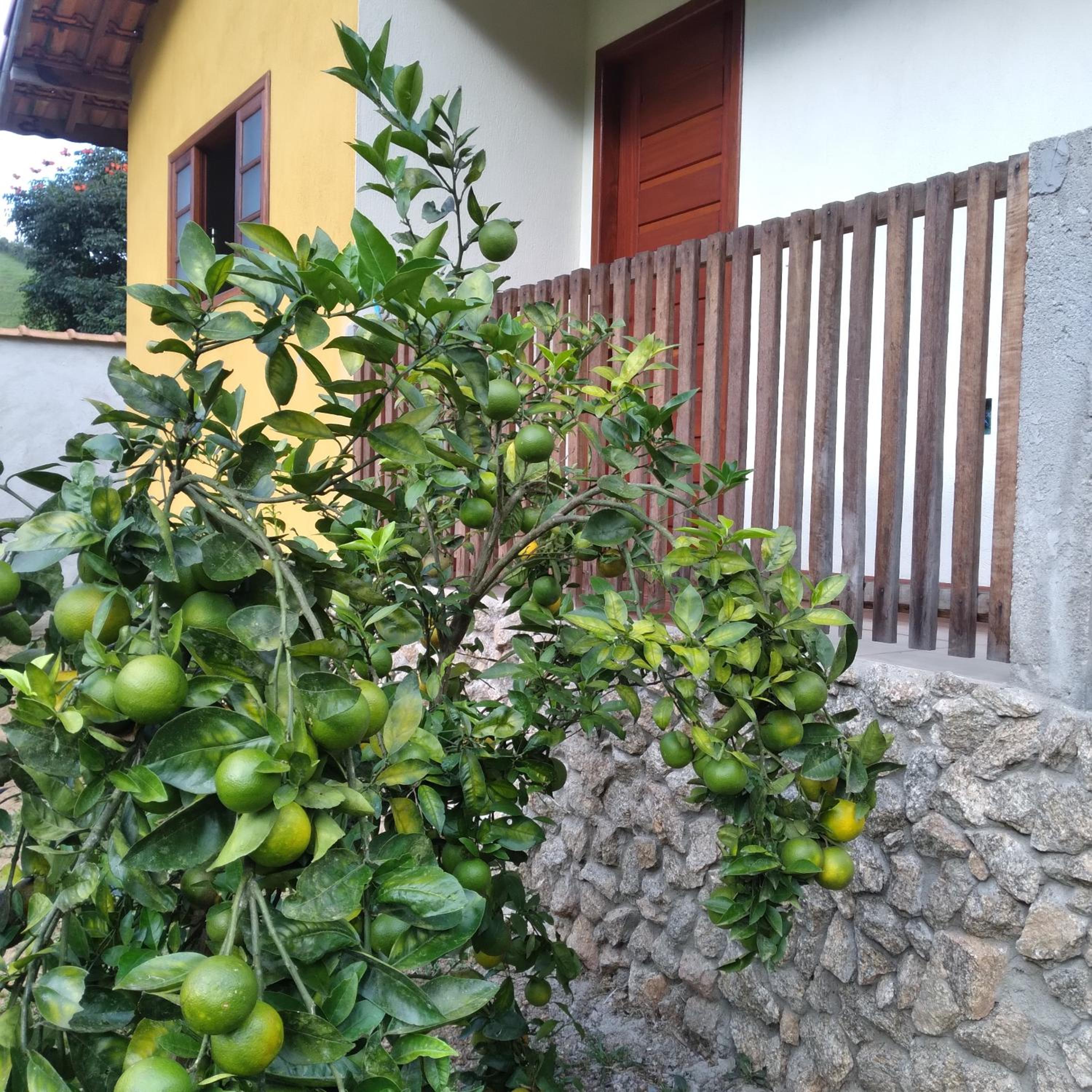 Photo 33