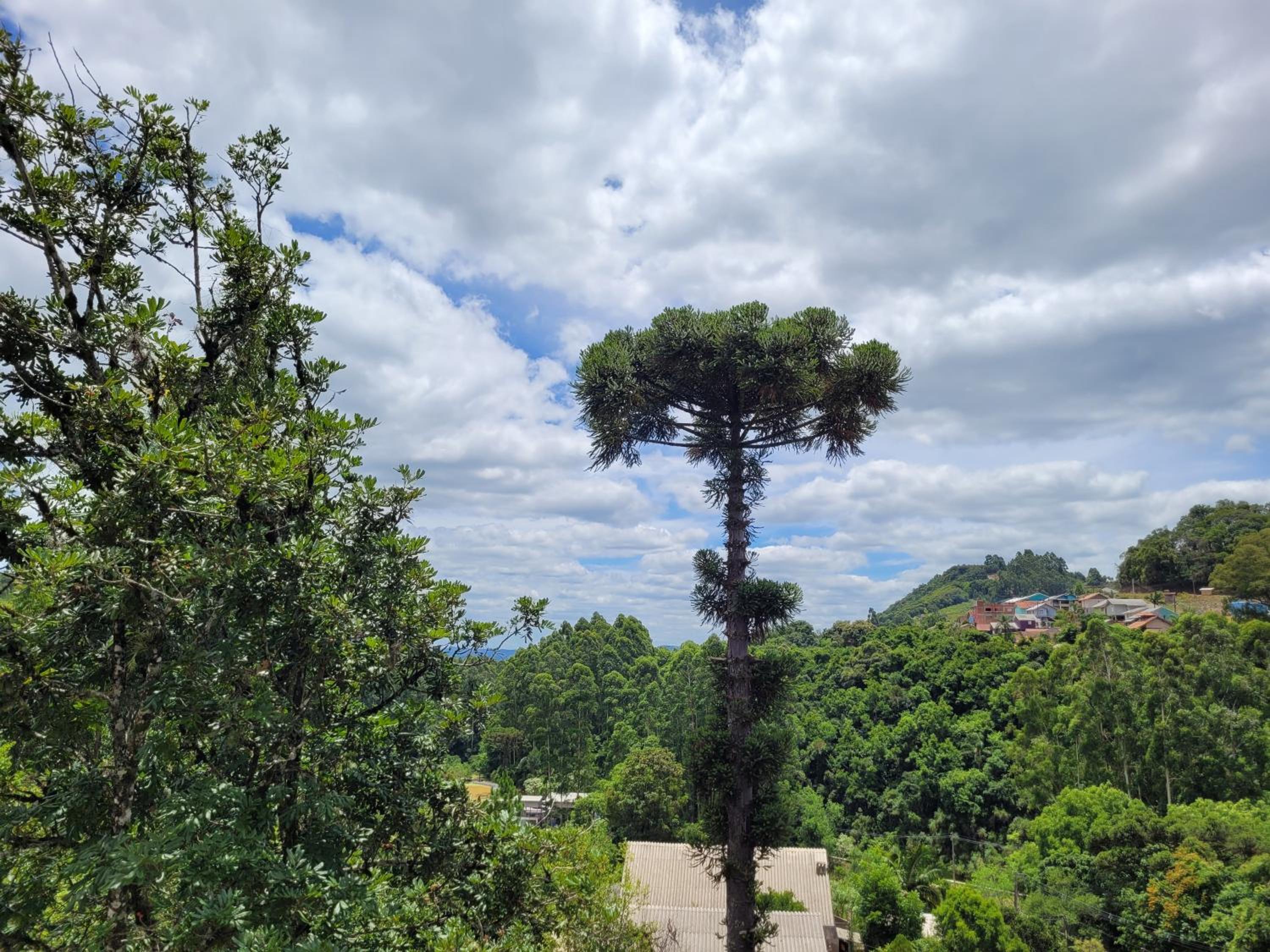 lugar tranquilo aconchegante perto da natureza