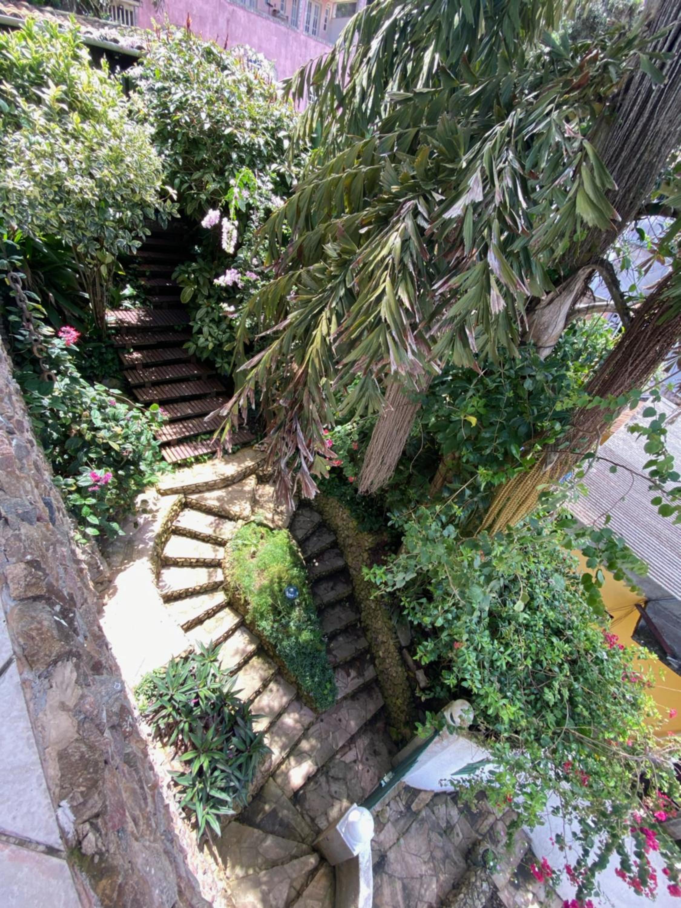 Photo 46