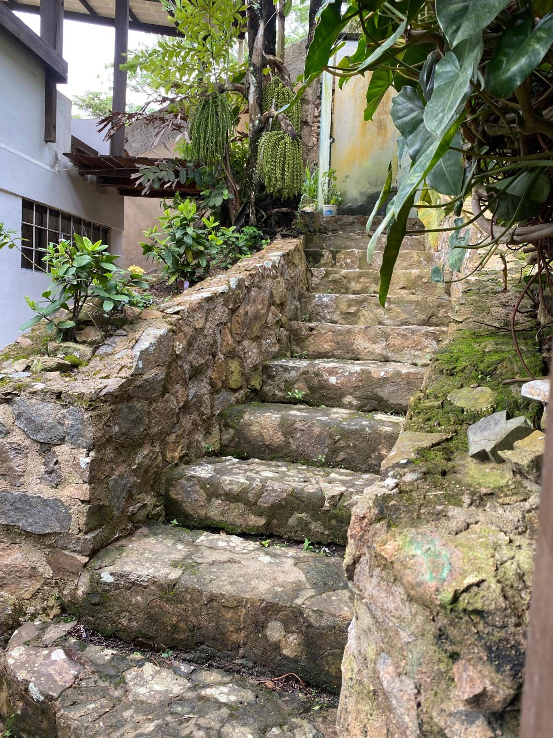 Photo 47