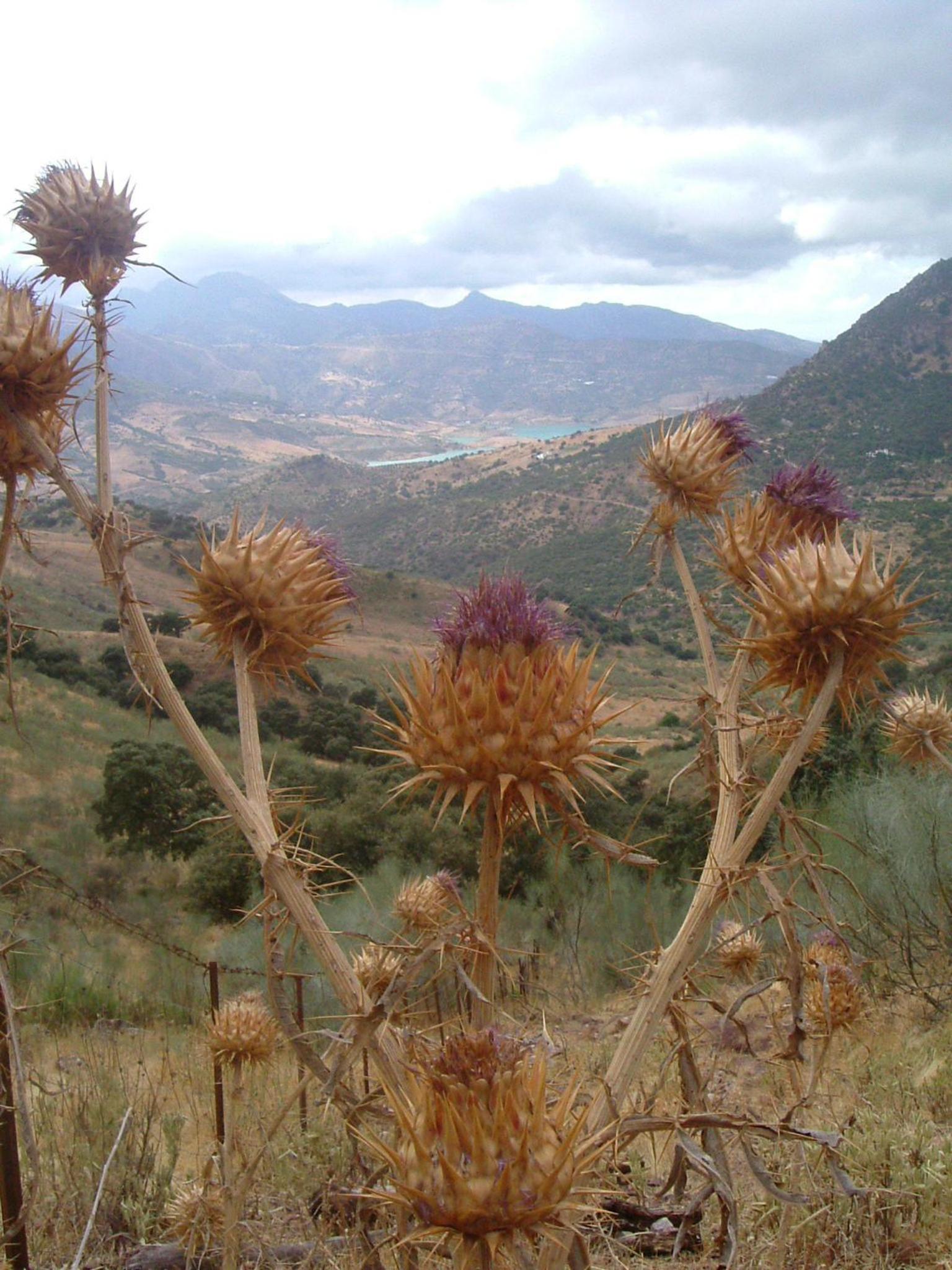 VyVE Grazalema AT view 2