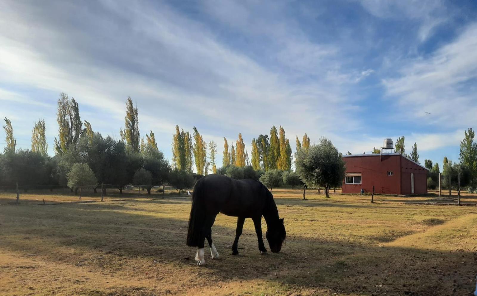 Finca La Calma