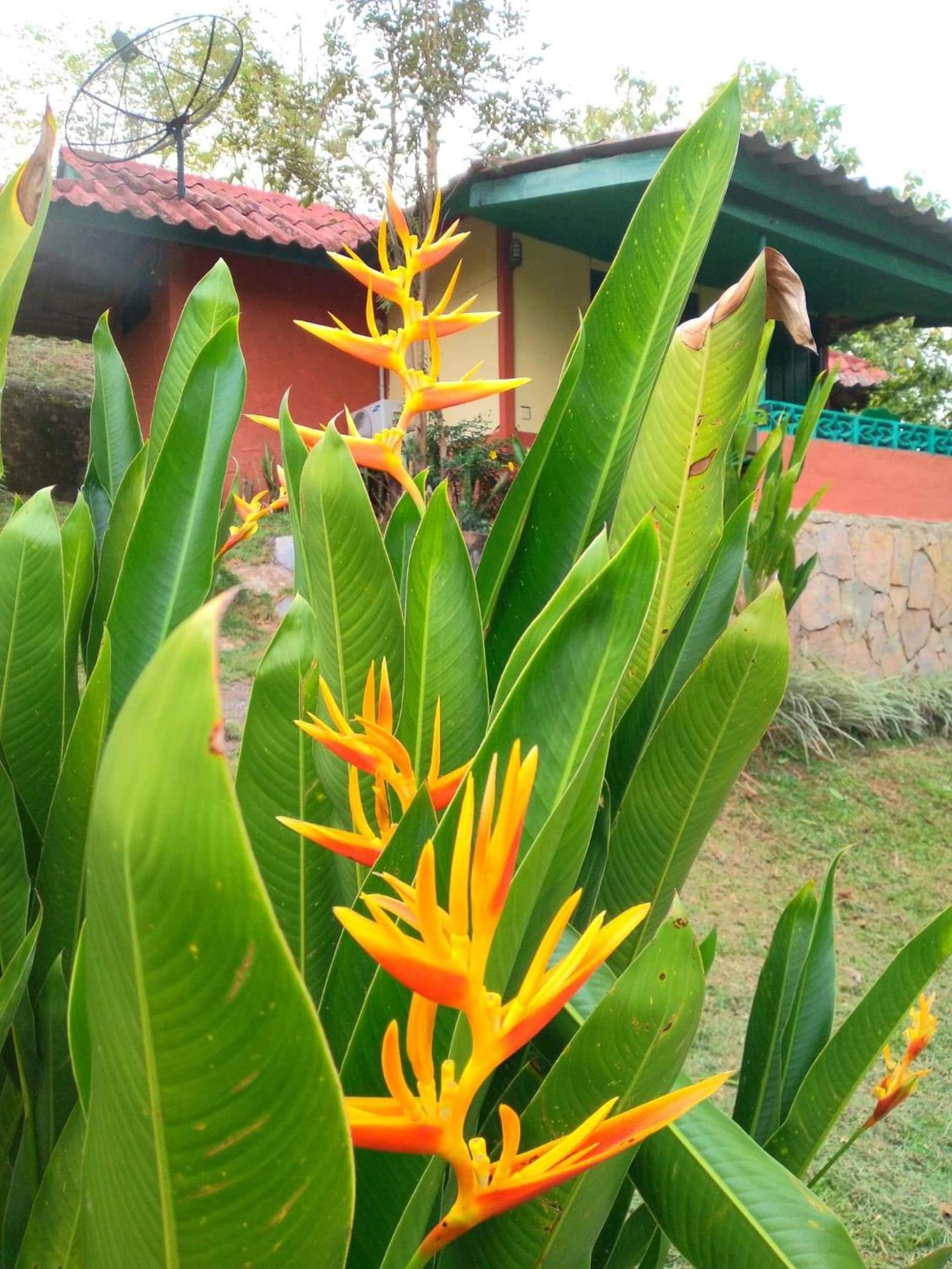 Baansuan Nanglae Hill Homestay