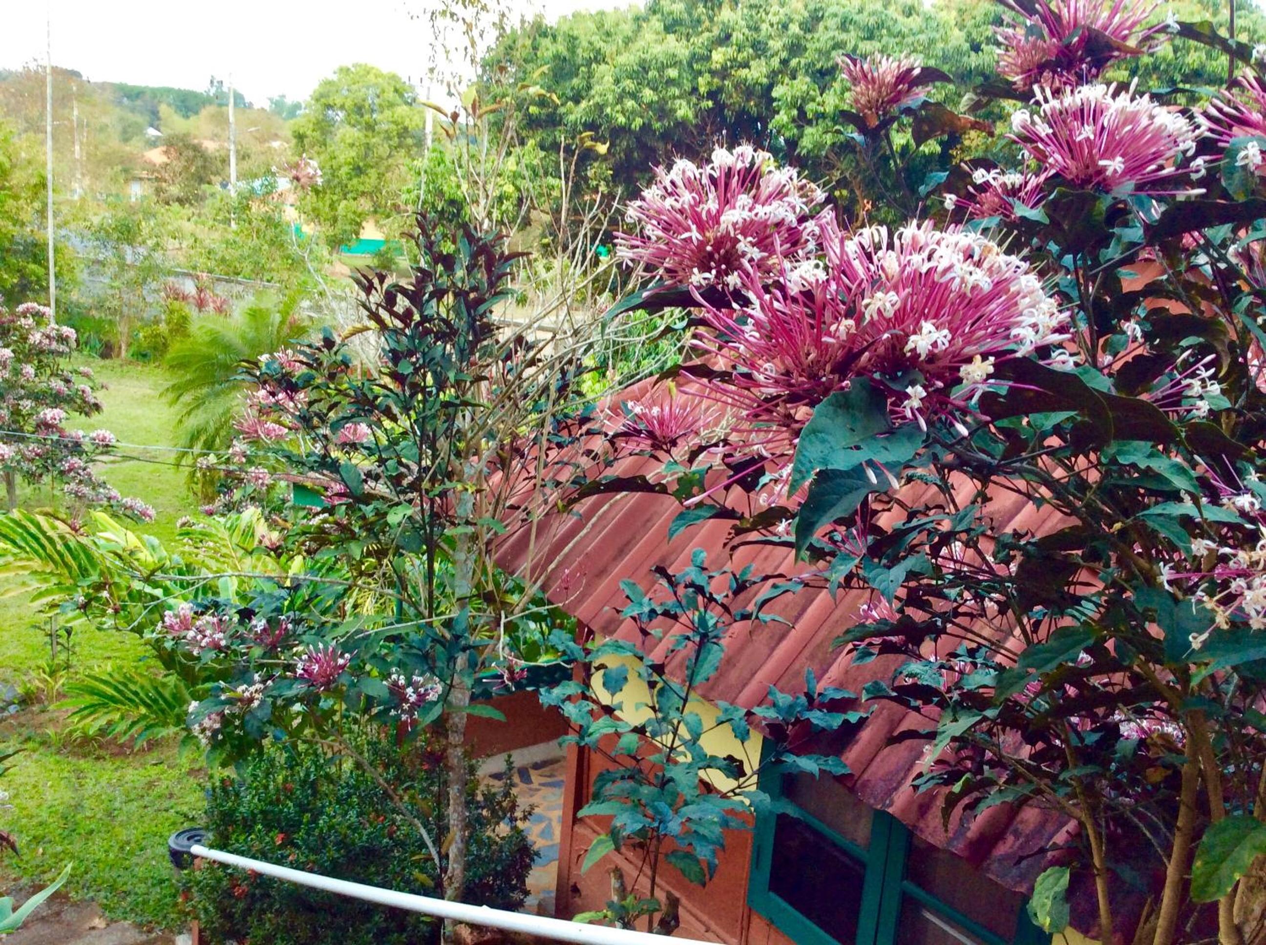 Baansuan Nanglae Hill Homestay