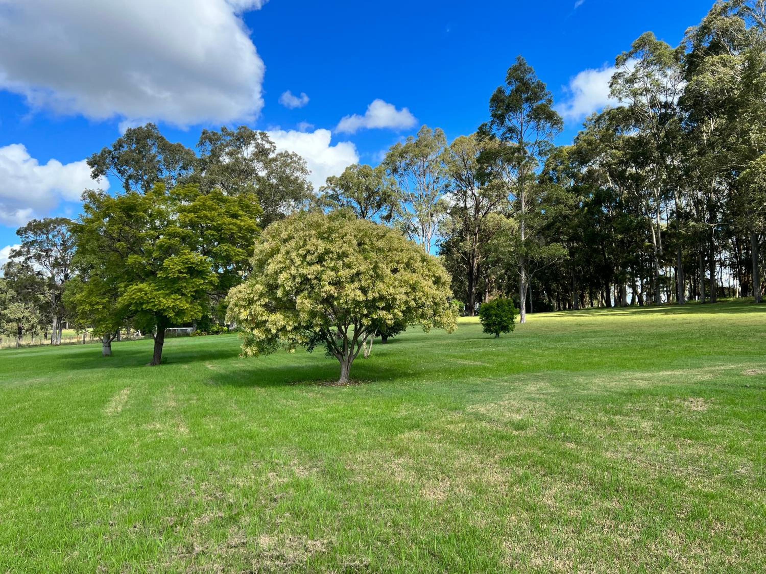 Carinya Cottage Hunter Valley - Nature retreat