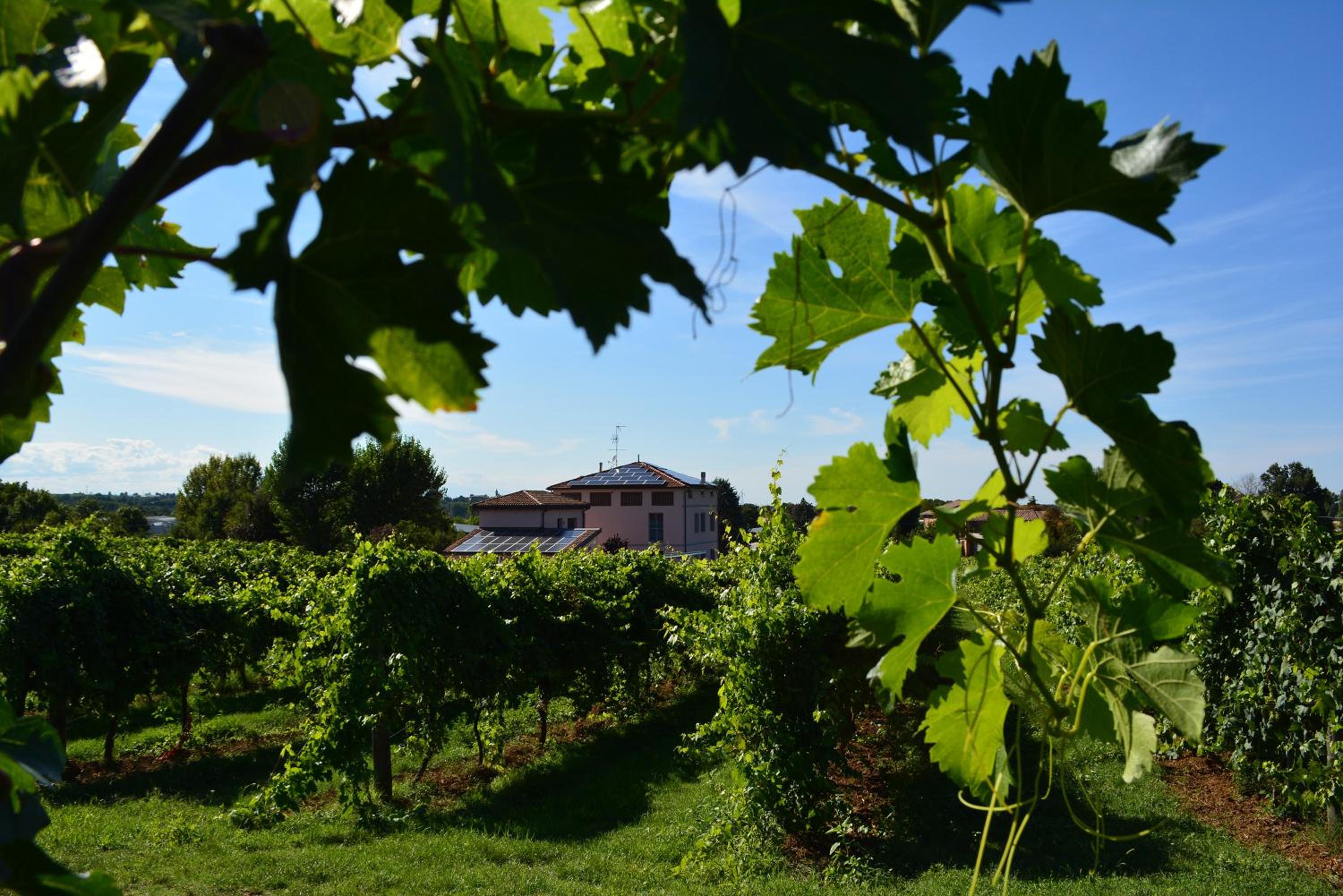 Le Stanze di Bacco view 2