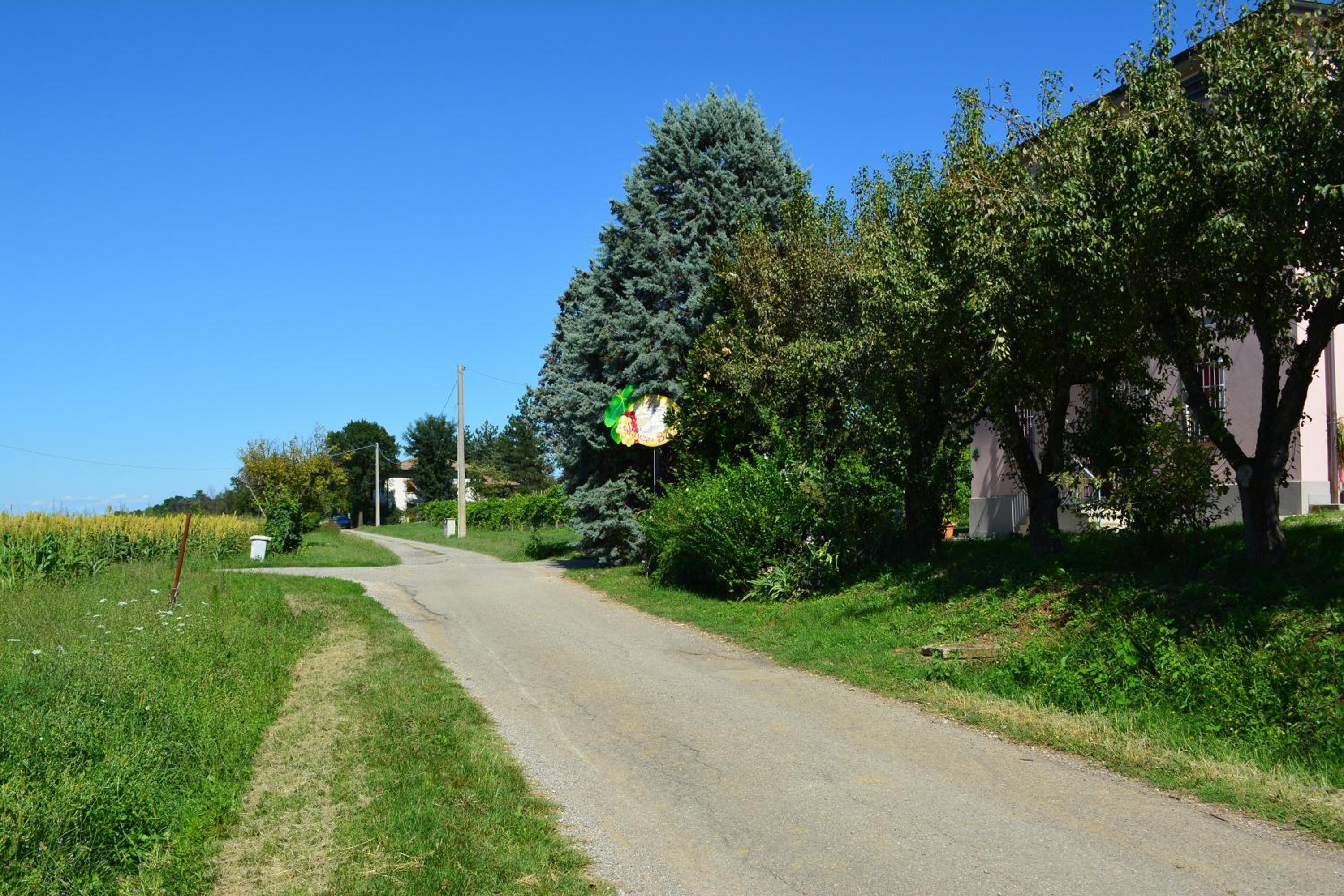 Photo 45