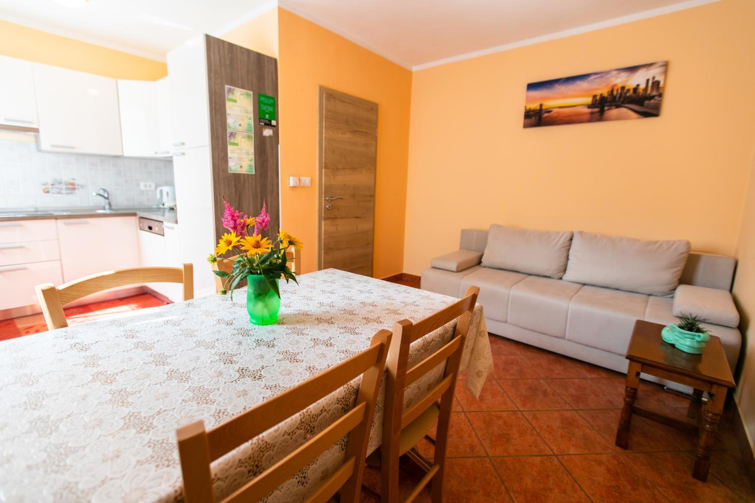 APARTMA JANJA view 3