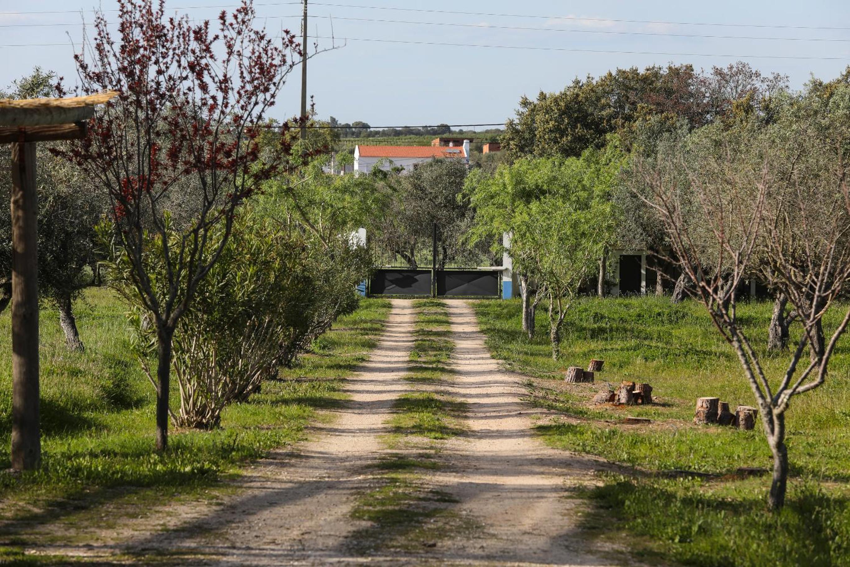 Photo 44