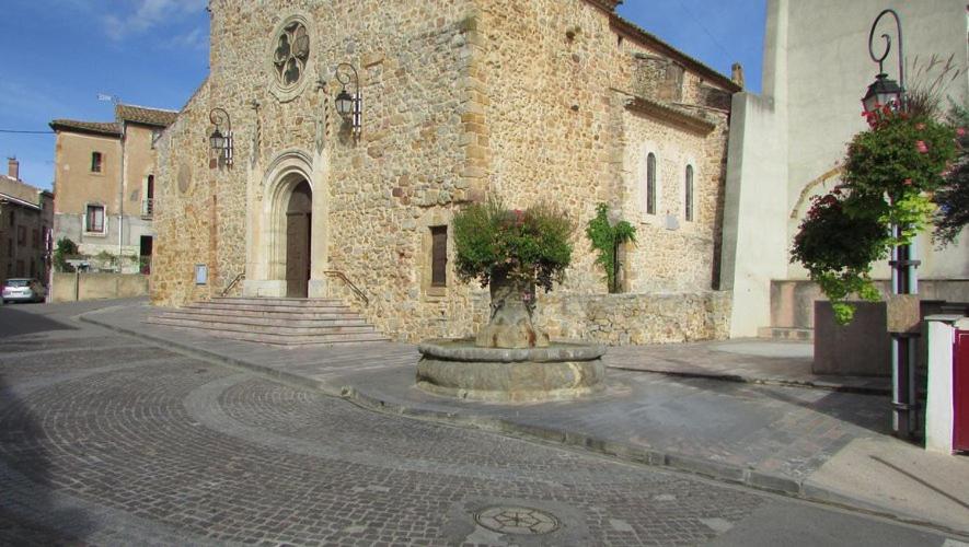 Photo 8