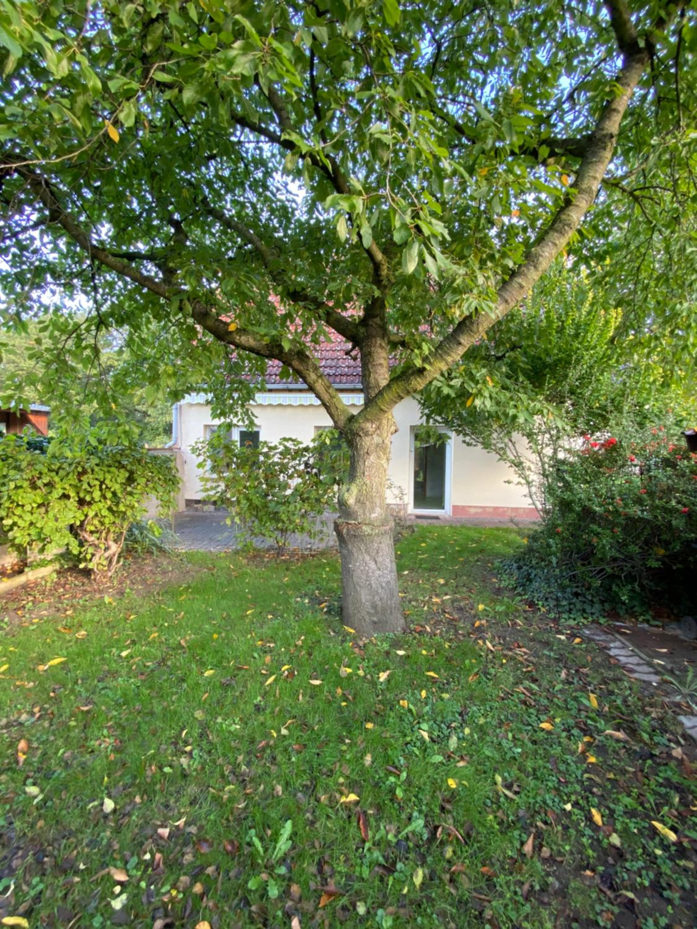 Ferienhaus Spreewald