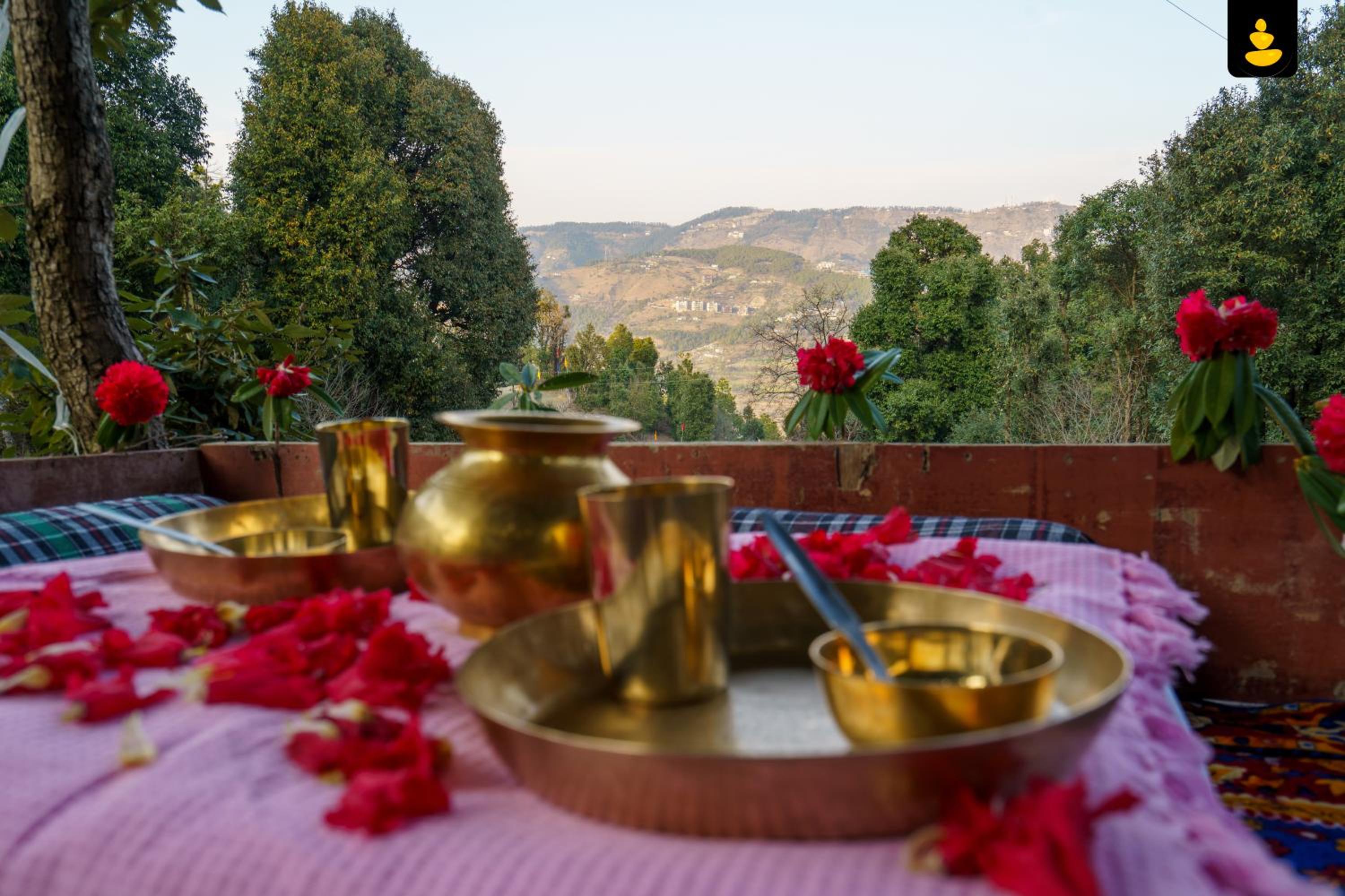 LivingStone Shimla Jungle Stay
