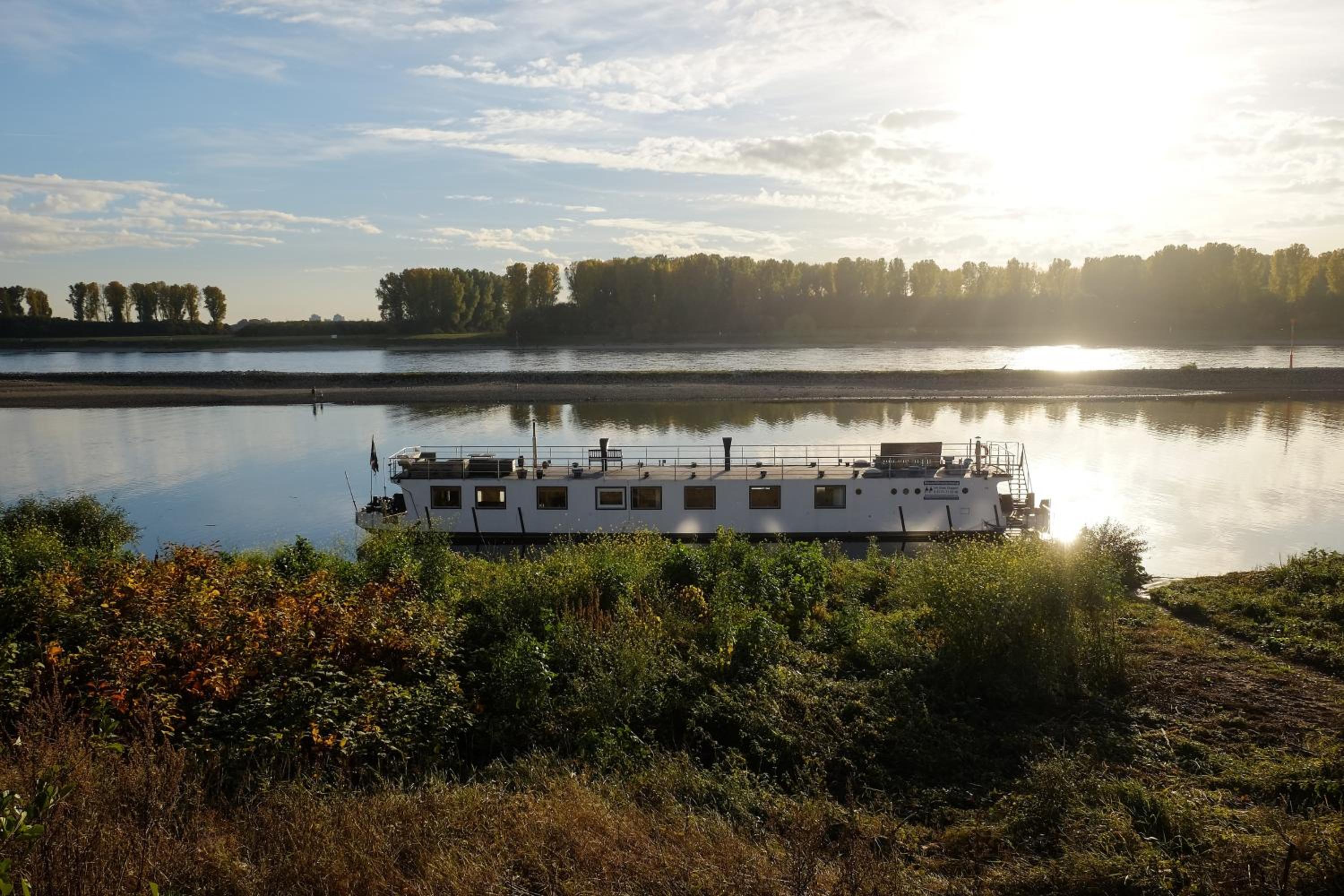 Rhein River Guesthouse - direkt am Rhein