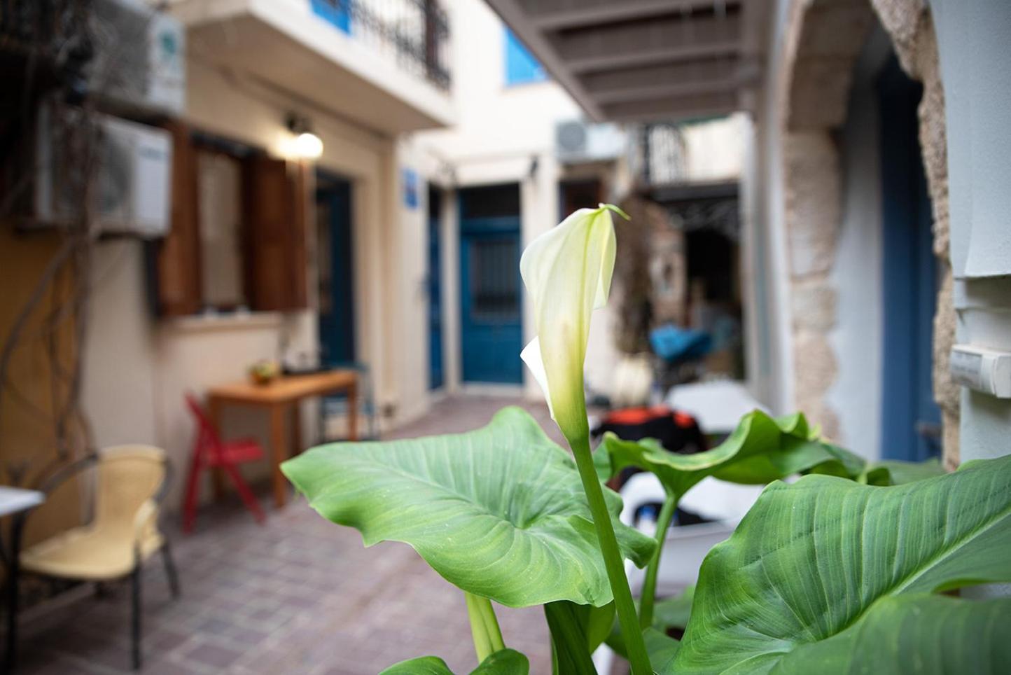 Chania Old Town room view 3