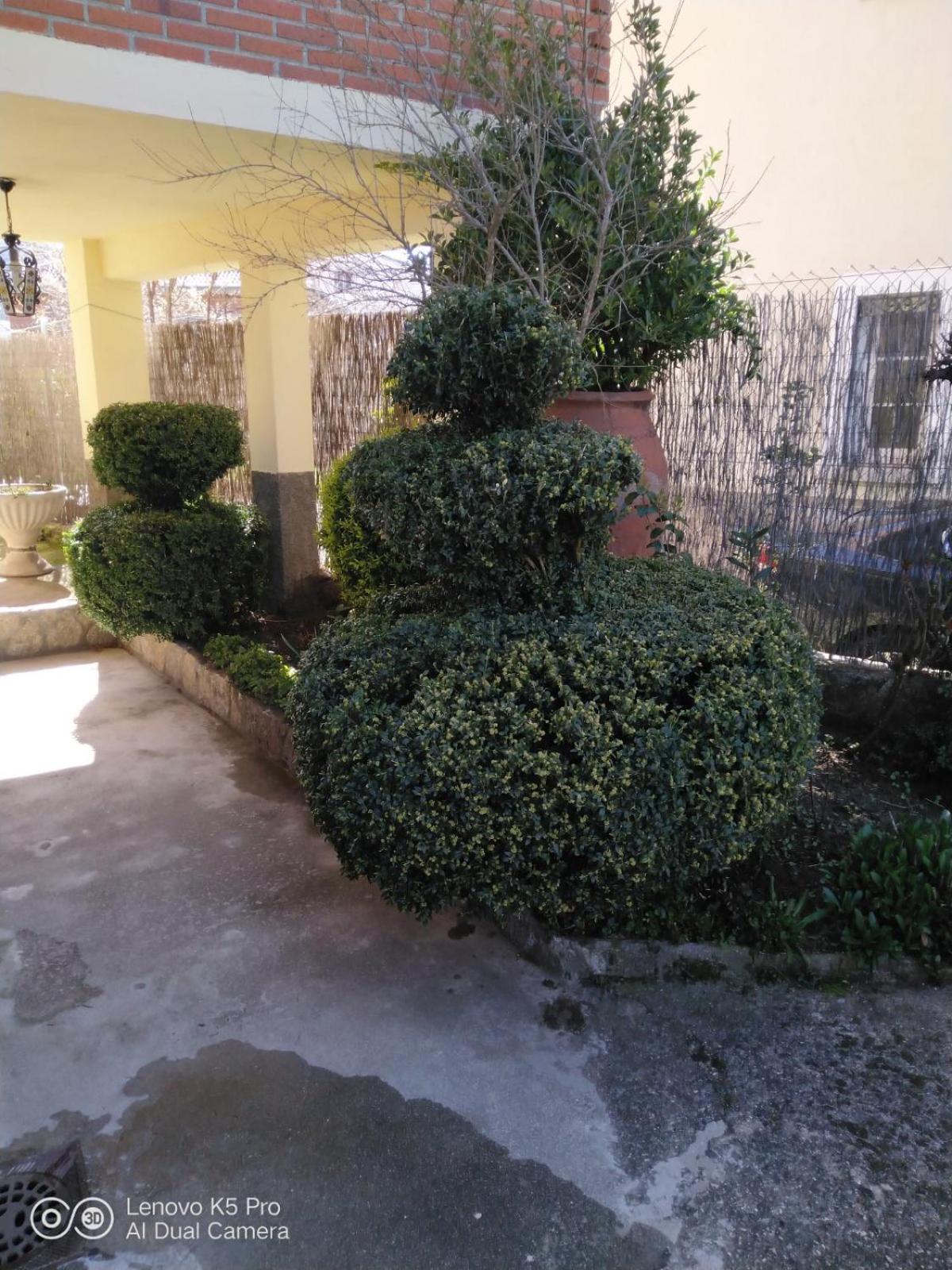 Photo 17