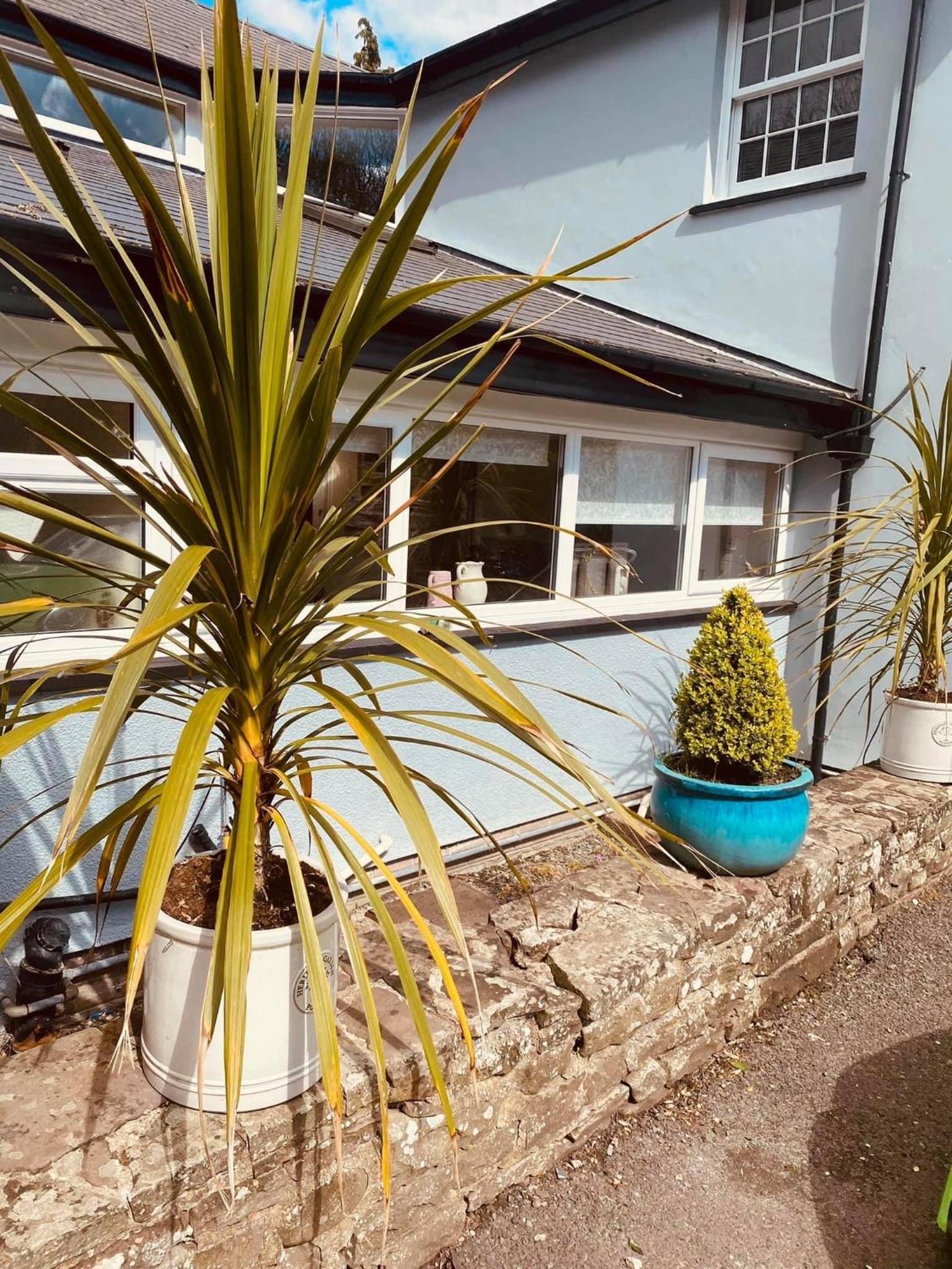 Rooms at The Usk