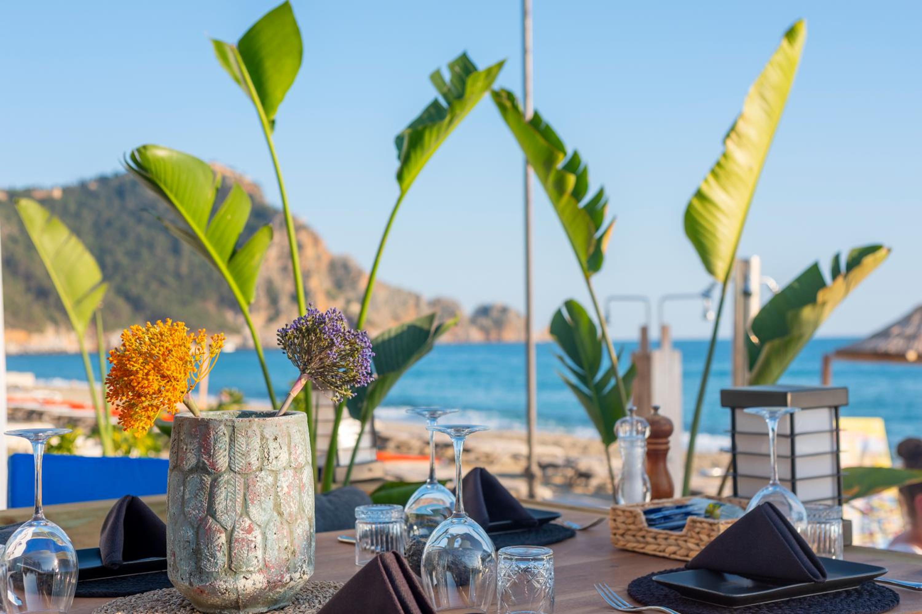Royalisa Palmiye Beach Yetişkinlere Özel Otel - Image 36