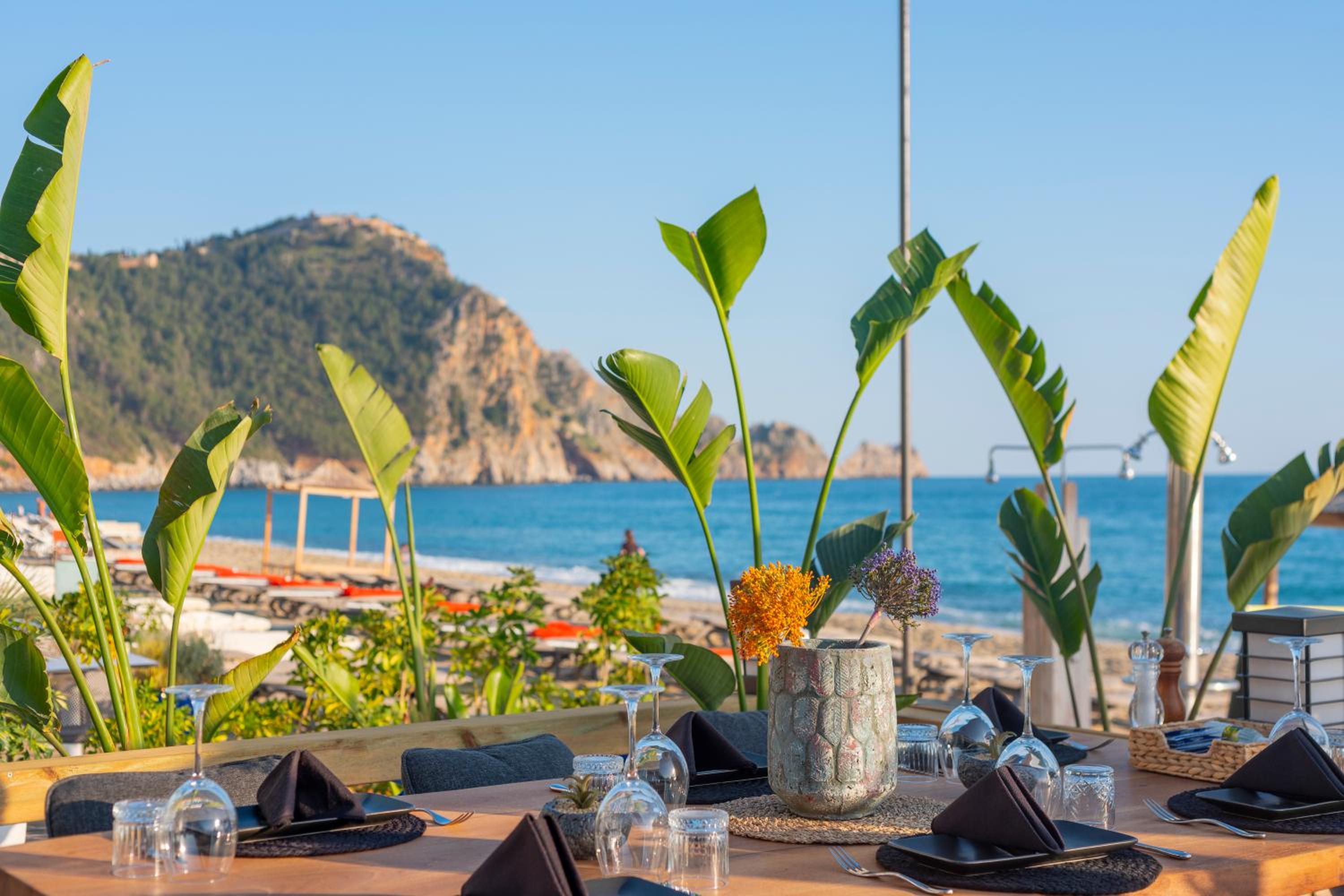 Royalisa Palmiye Beach Yetişkinlere Özel Otel - Image 8