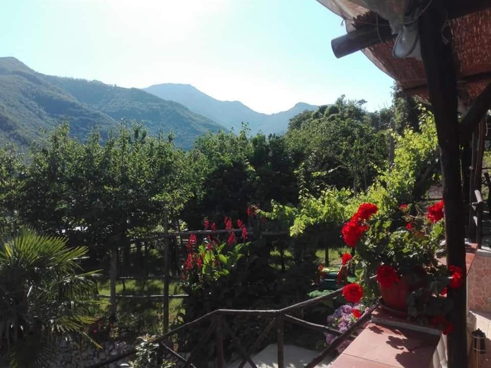 Casa Panoramica Vintage view 5