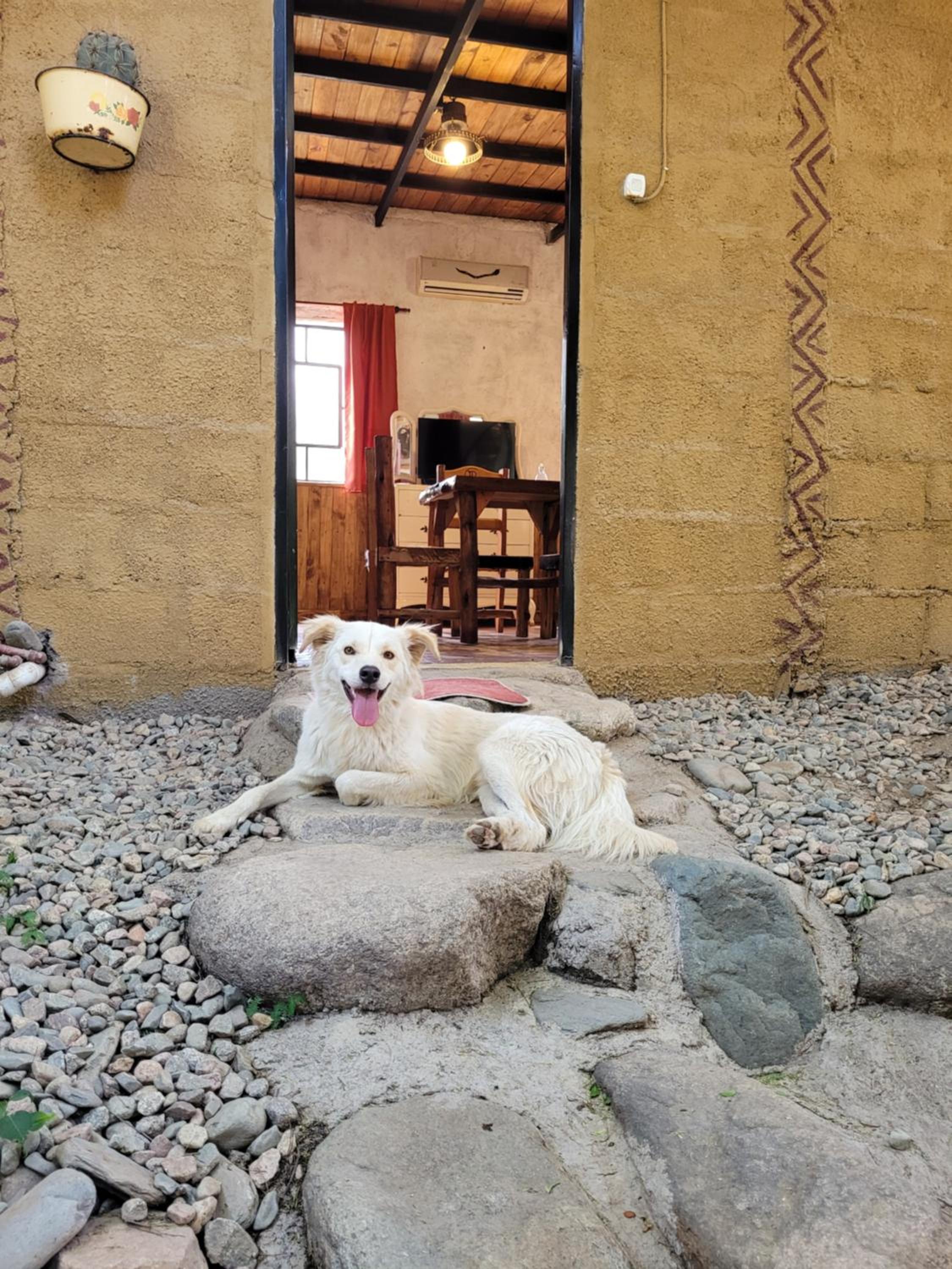 Cabañas de Montaña Rio Amarillo