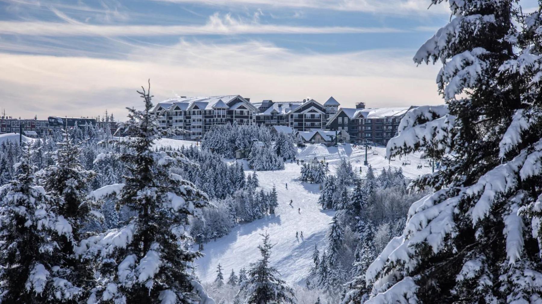 Hotel Snowshoe Ski-in & Ski-out at Silvercreek Resort - Family friendly, jacuzzi, hot tub, mountain views