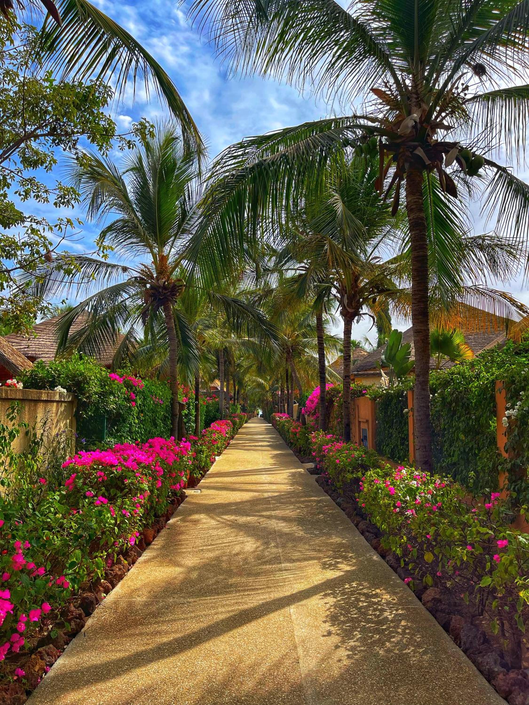 Agence Adjana Resort view 5