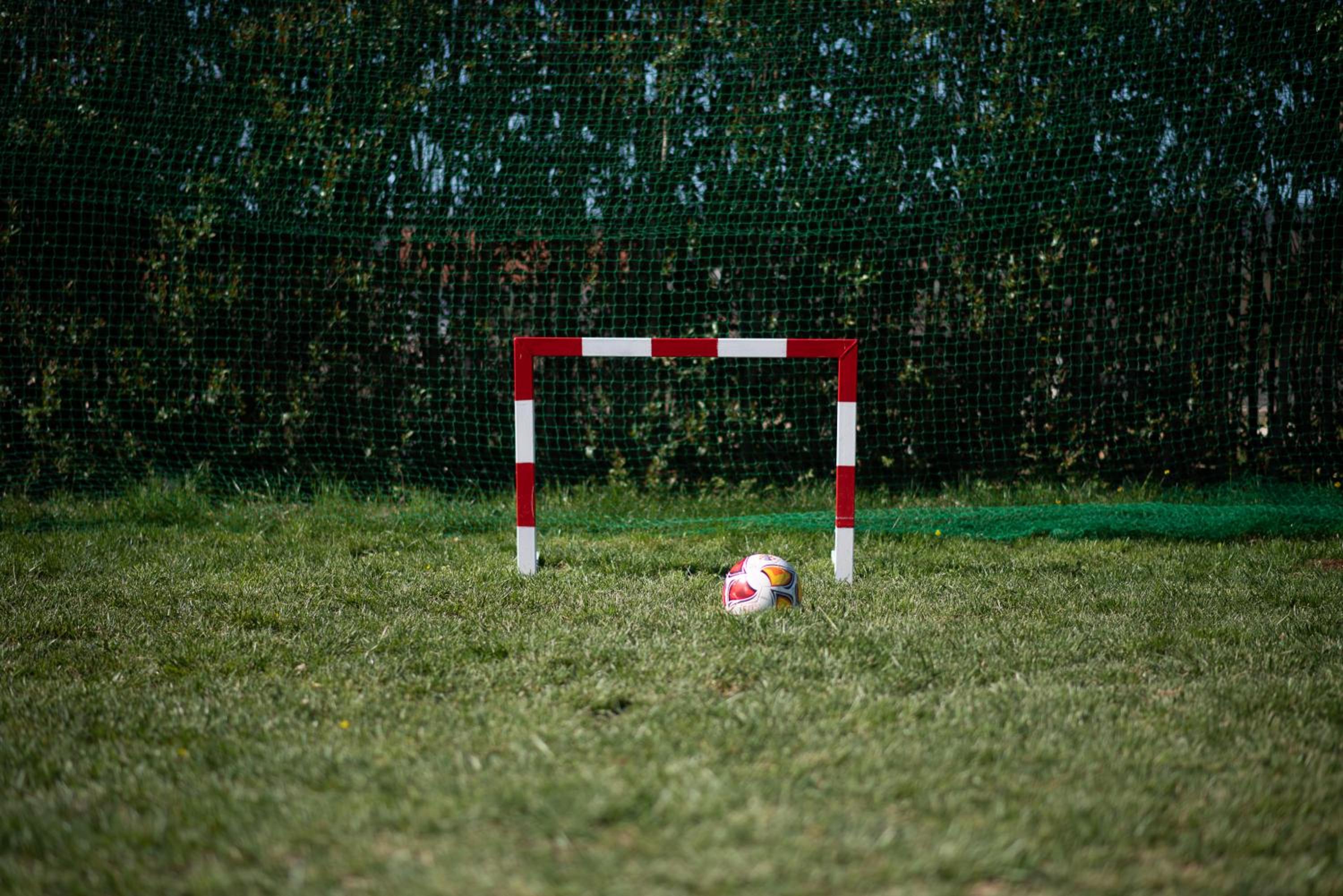 Photo 6
