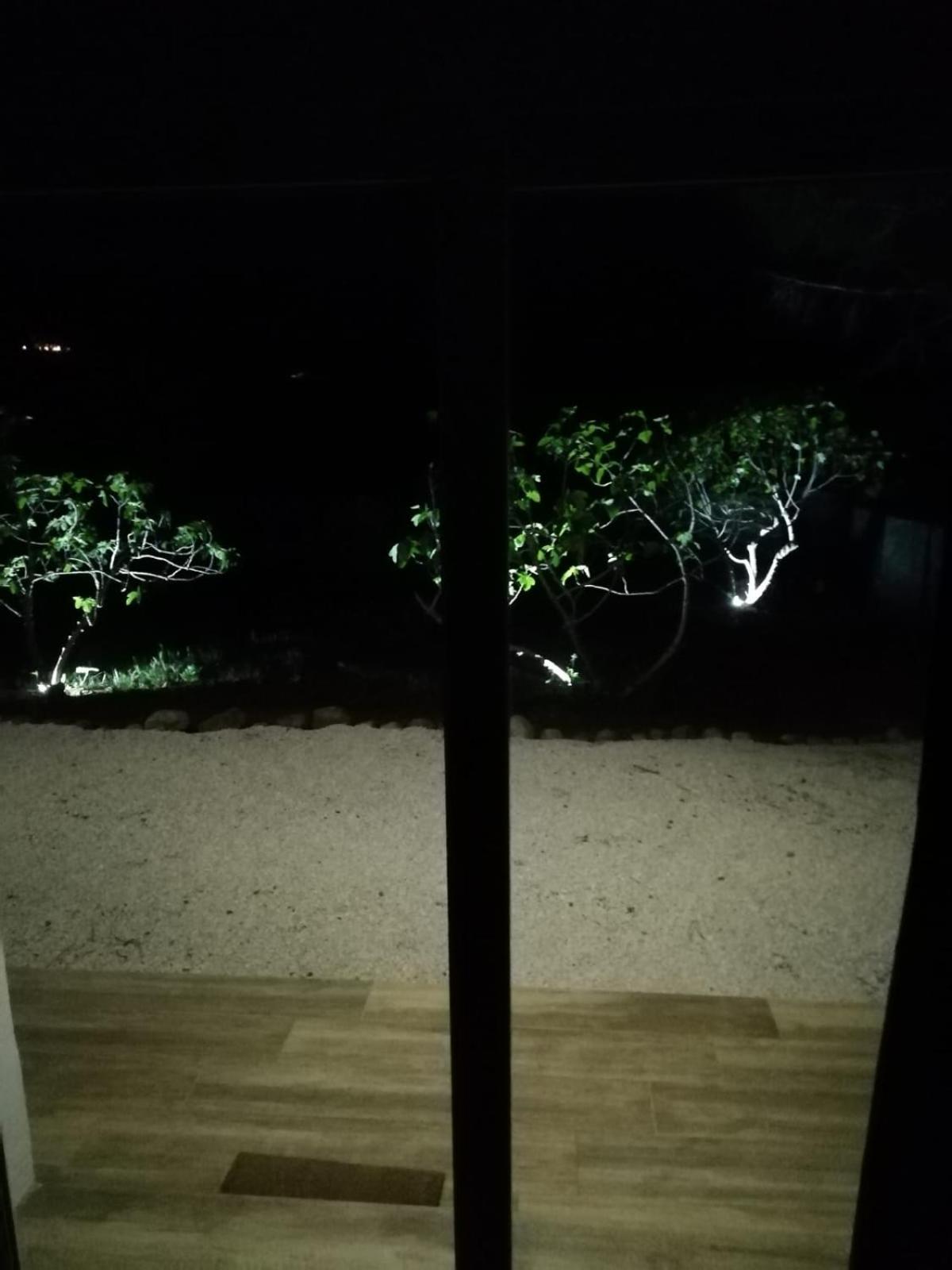 La casa dei fichi