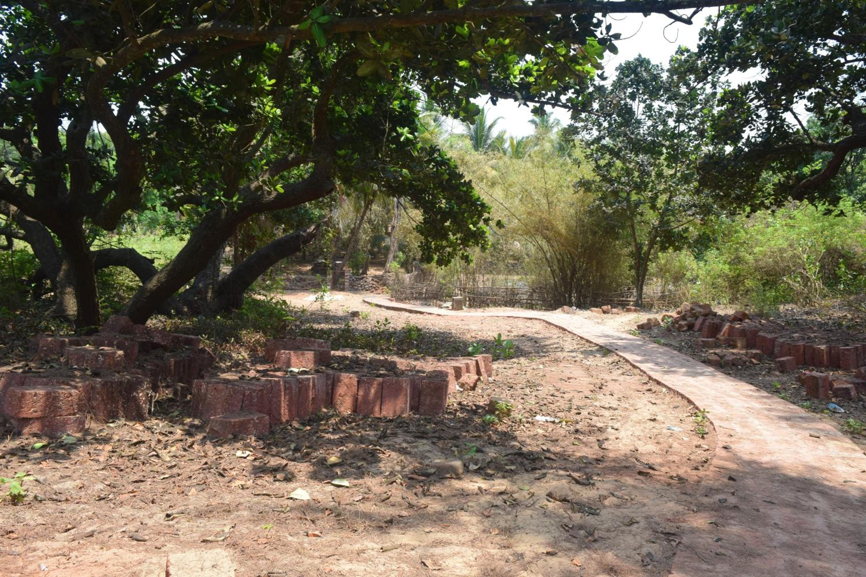 Photo 19