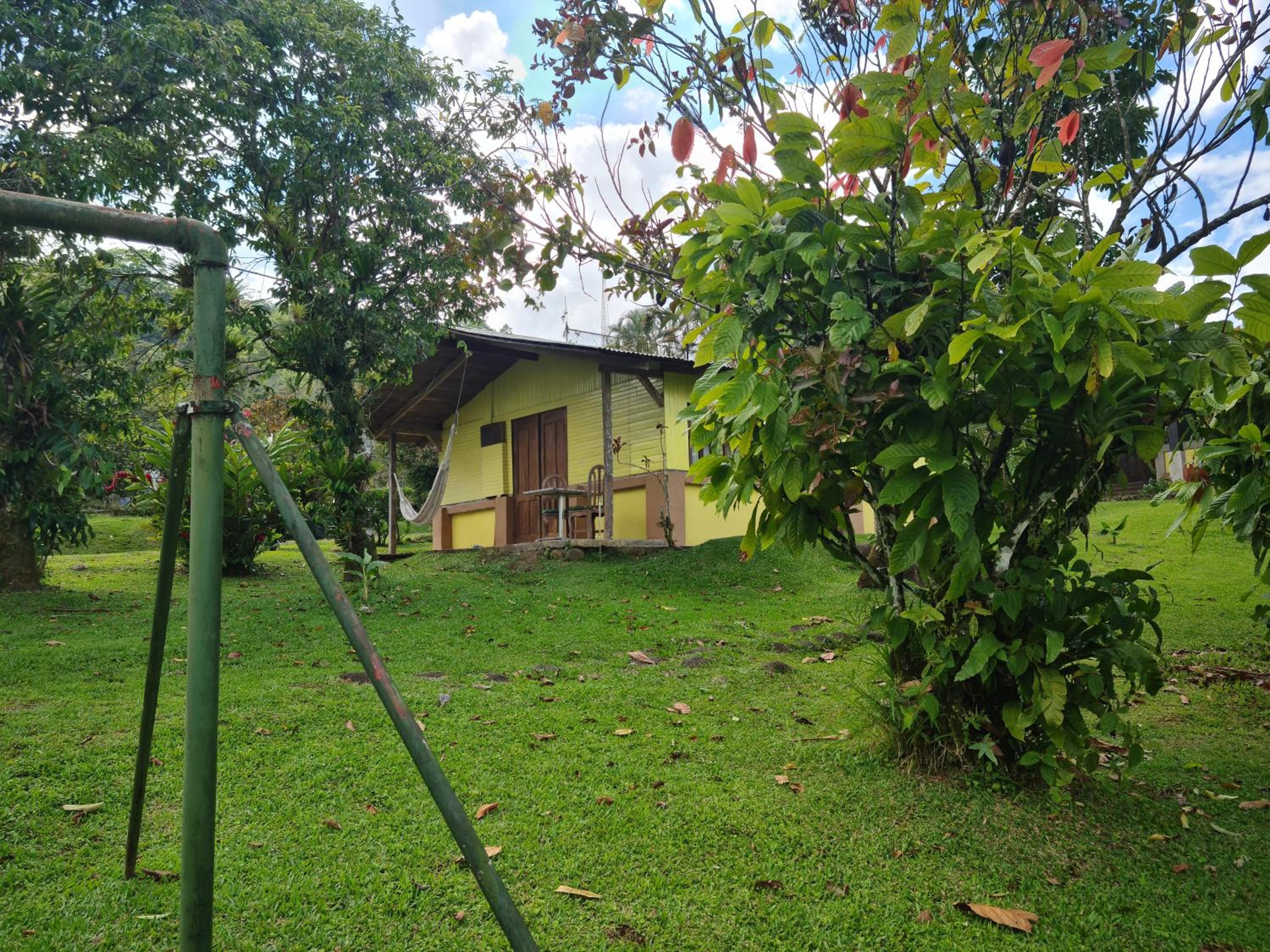 Photo 25
