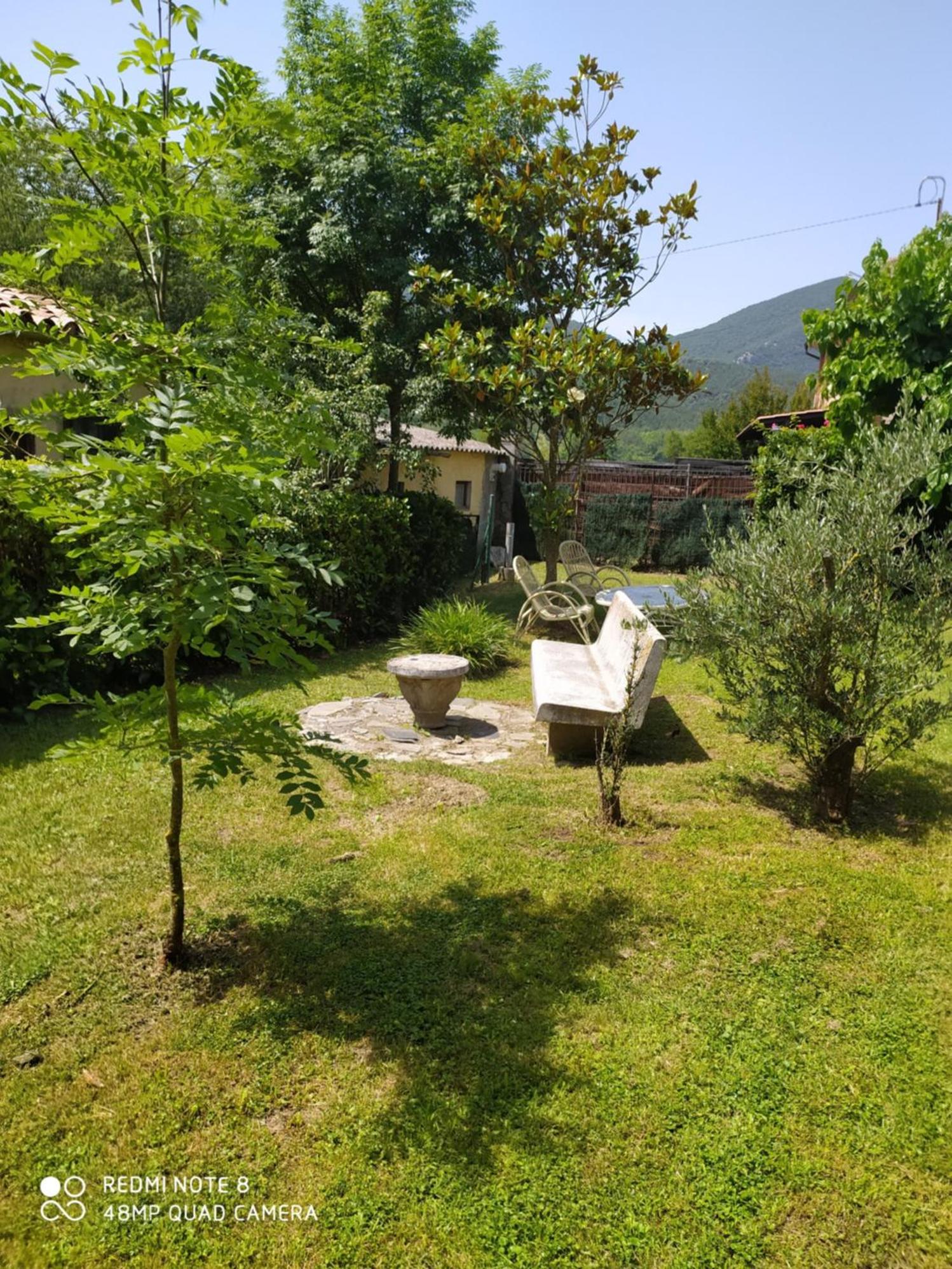 Photo 25
