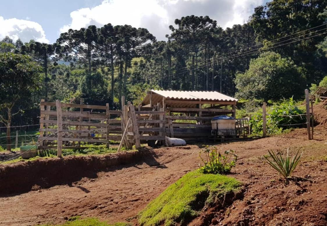 Chalé no campo à caminho de Monte Verde