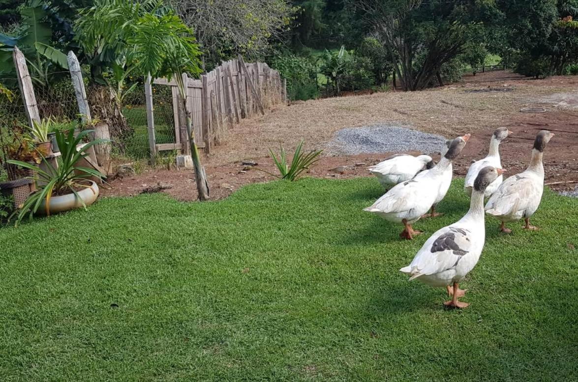 Chalé no campo à caminho de Monte Verde