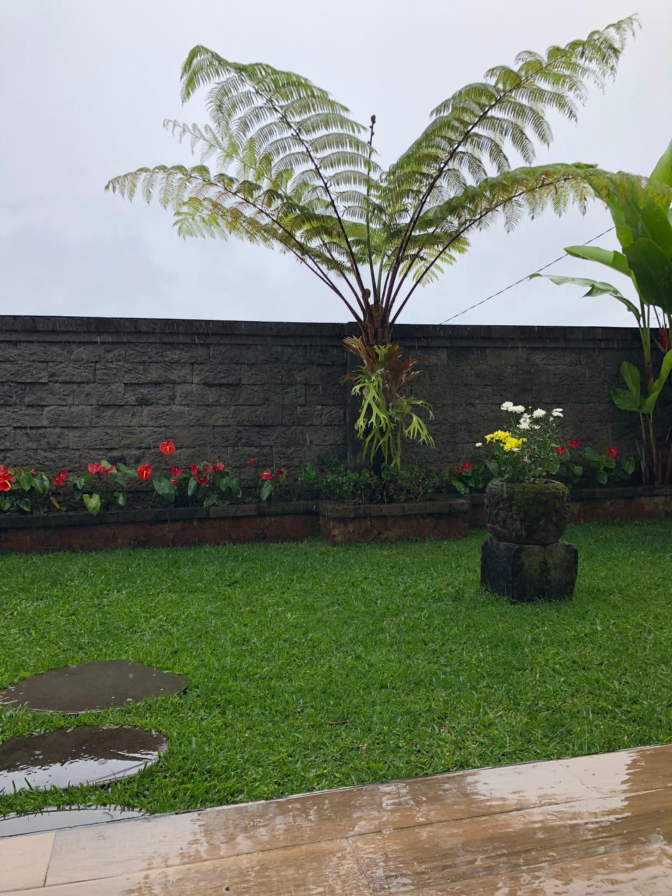 BUYAN LODGE lake view villa view 2