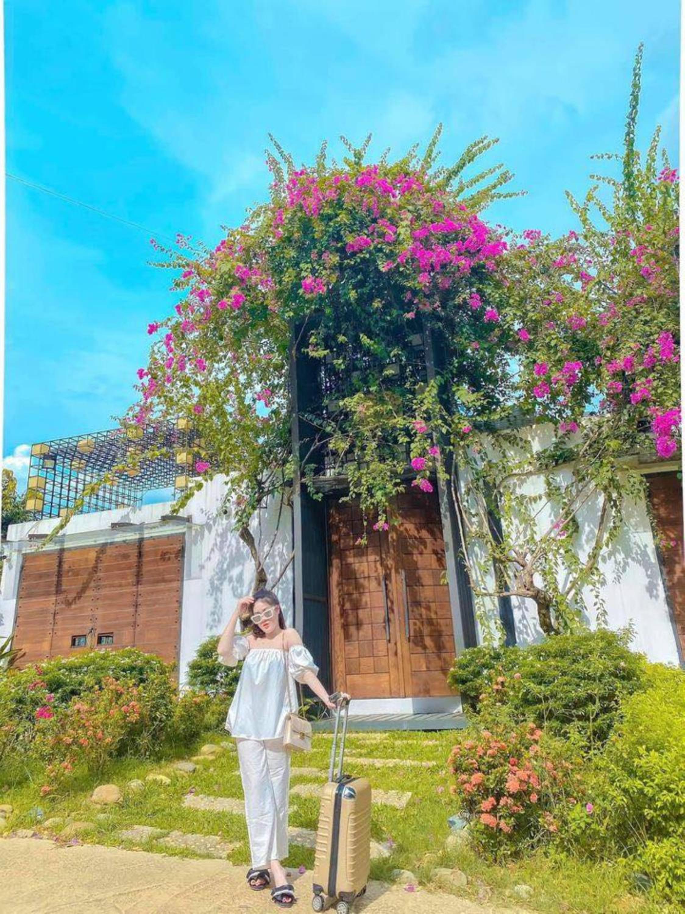 The Luciola Tam Đảo - Venue Travel view 2