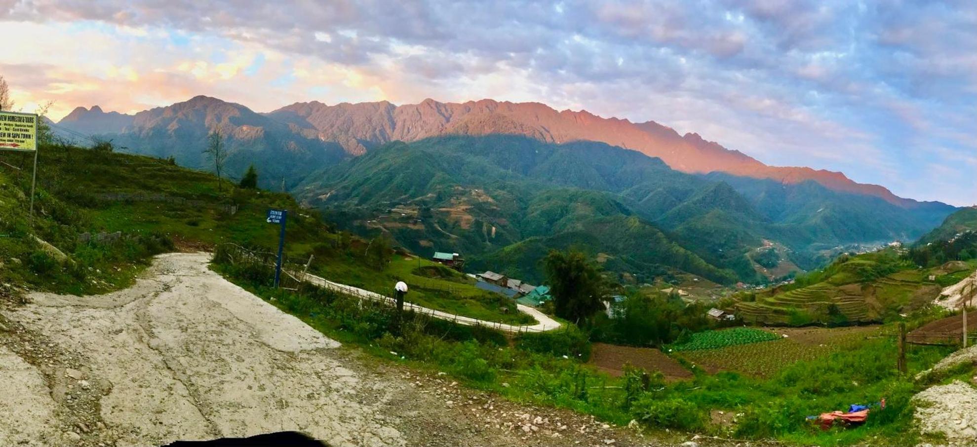 Mintu Home