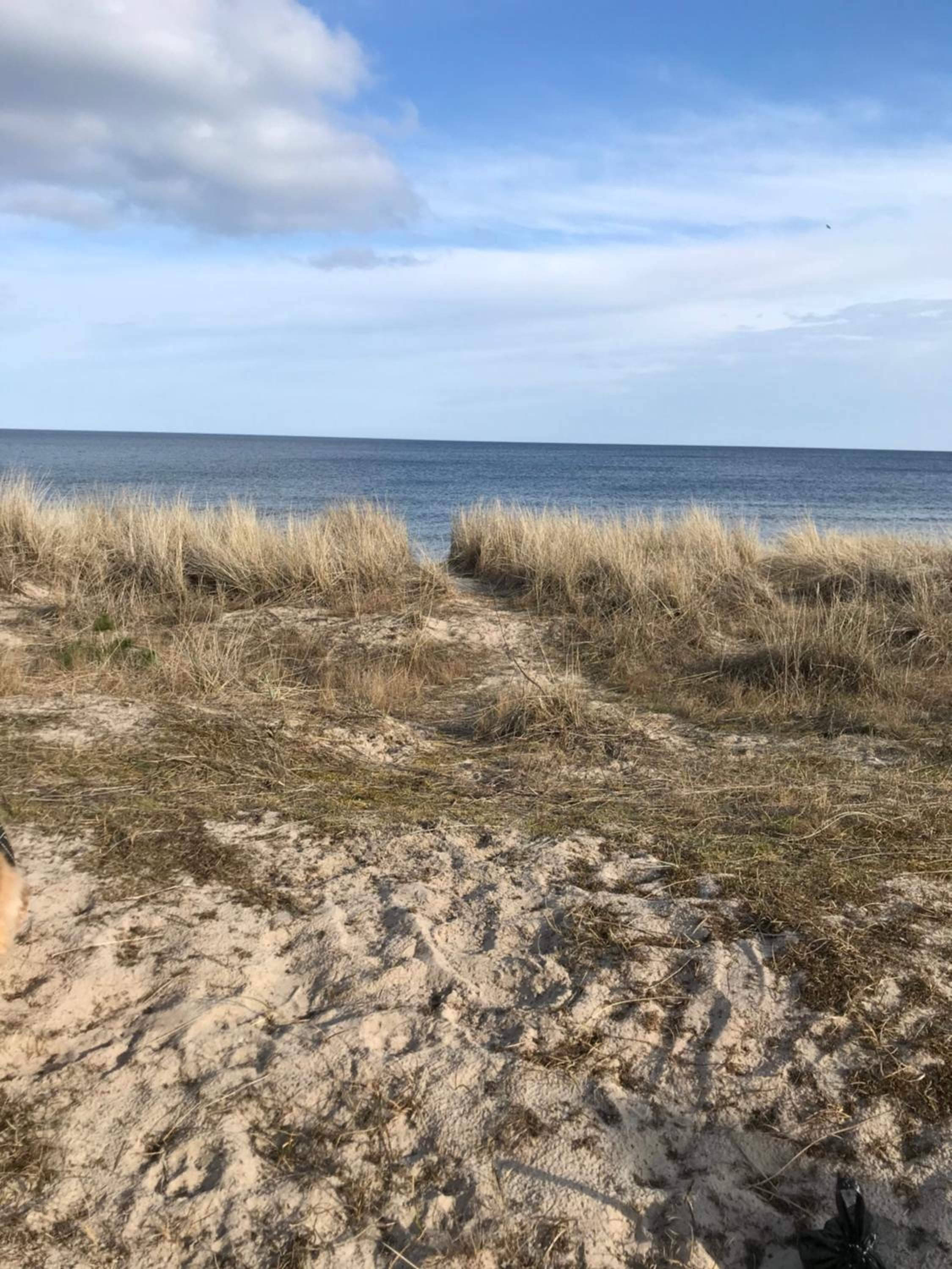 Havsnära paradis för det större sällskapet view 2