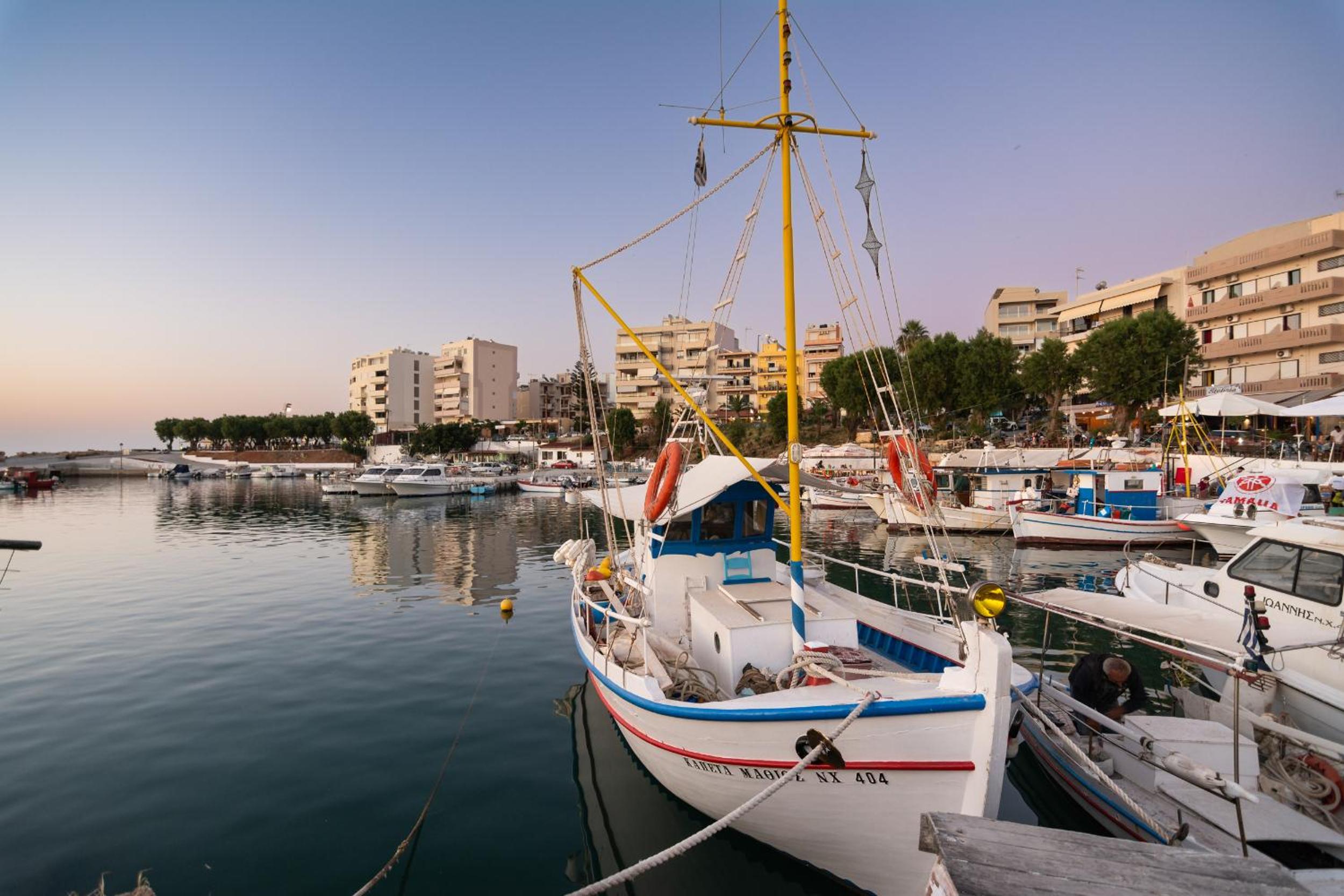 Photo 9